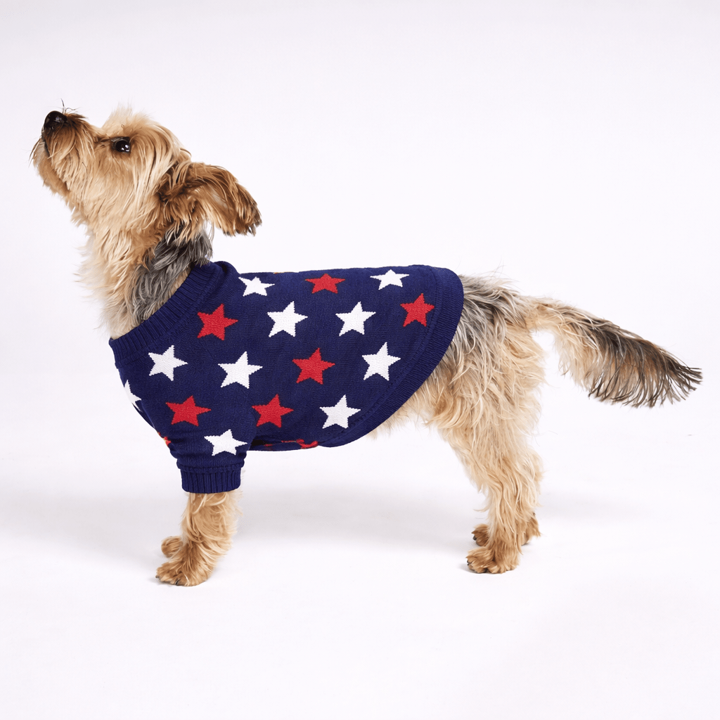 Found My Animal Star Sweater