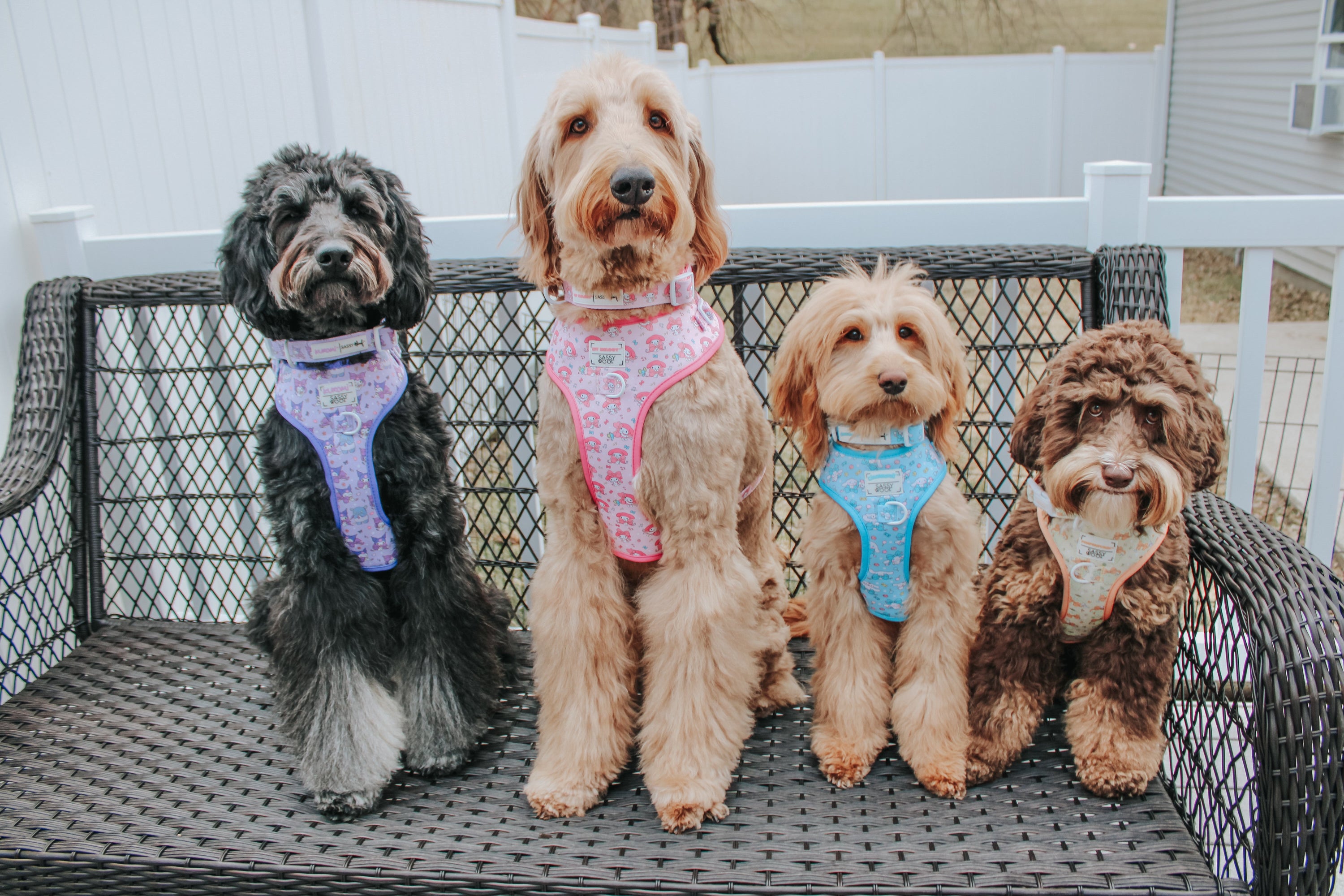 Dog Adjustable Harness - Kuromi™