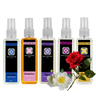 Five Best-Selling Fragrances 100ml Bundle By Dog Fashion Spa