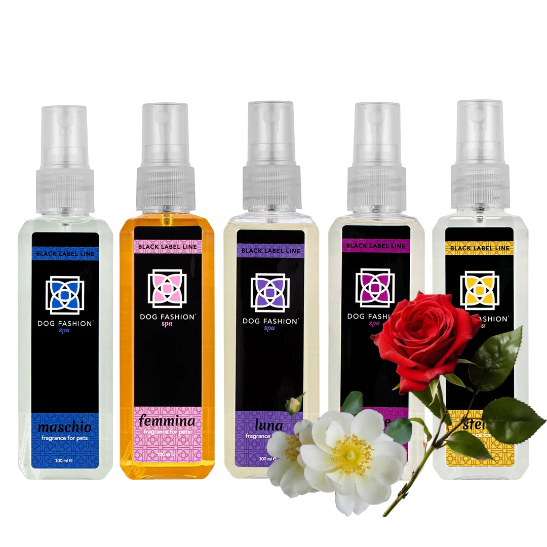 Five Best-Selling Fragrances 100ml Bundle By Dog Fashion Spa