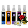 Five Best-Selling Fragrances 100ml Bundle By Dog Fashion Spa