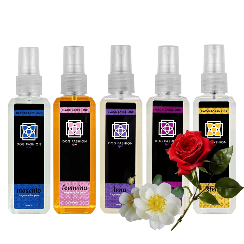 Five Best-Selling Fragrances 100ml Bundle By Dog Fashion Spa
