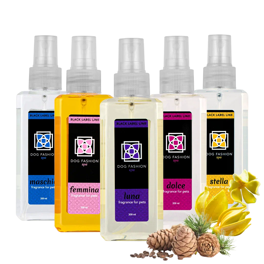 Five Best Selling Fragrances 200ml by Dog Fashion Spa Bundle