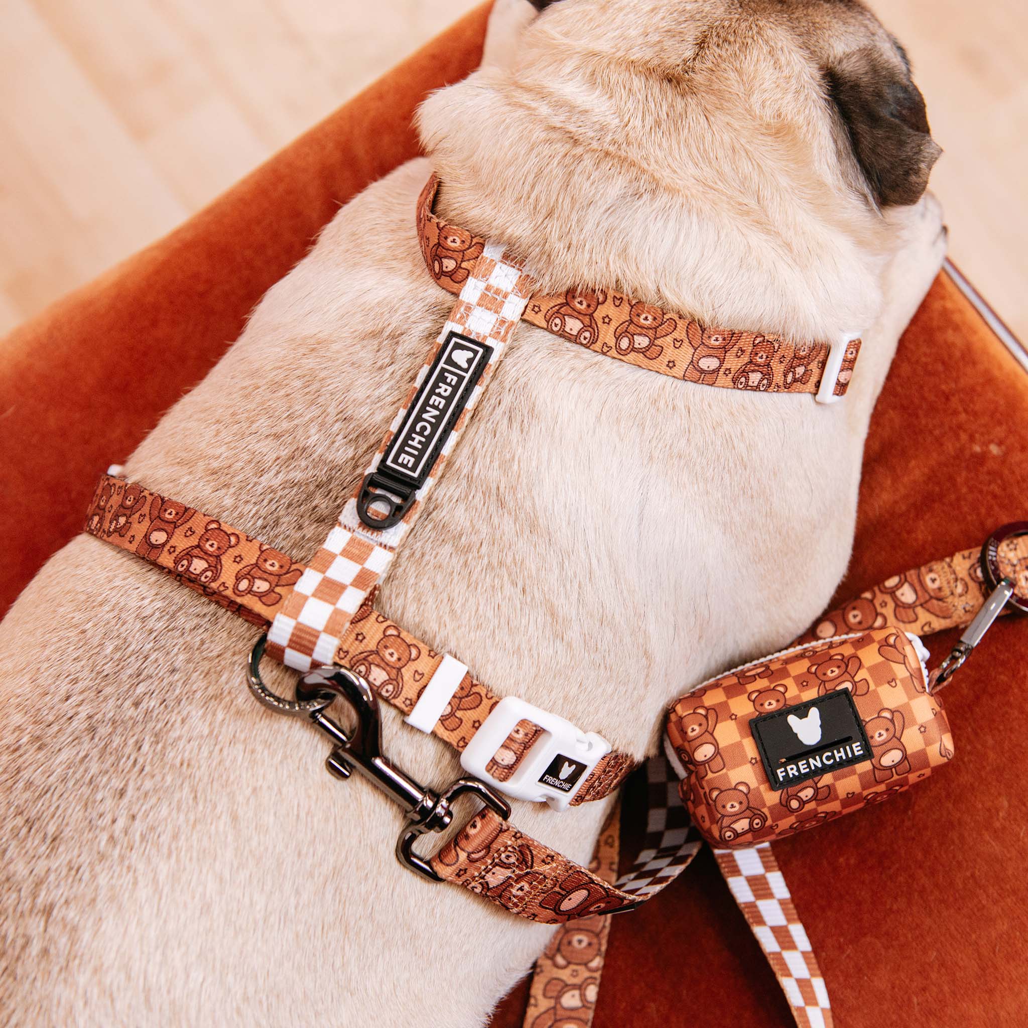Frenchie Strap Harness - Teddy Bear