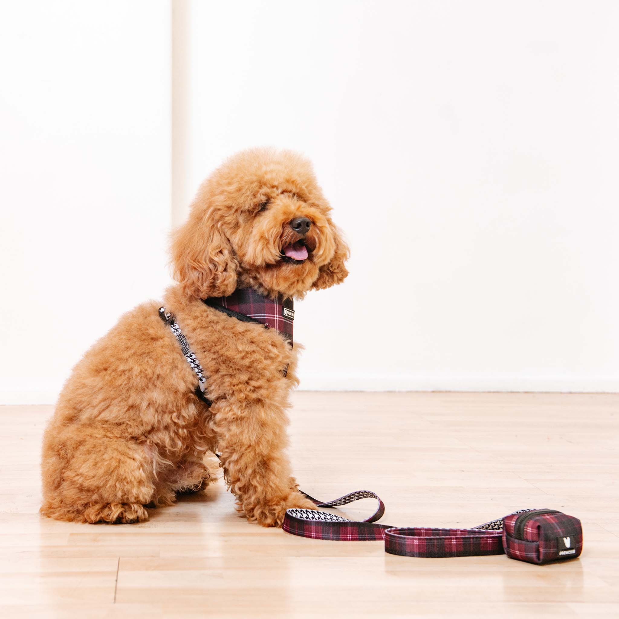 Frenchie Comfort Leash - Classic Plaid