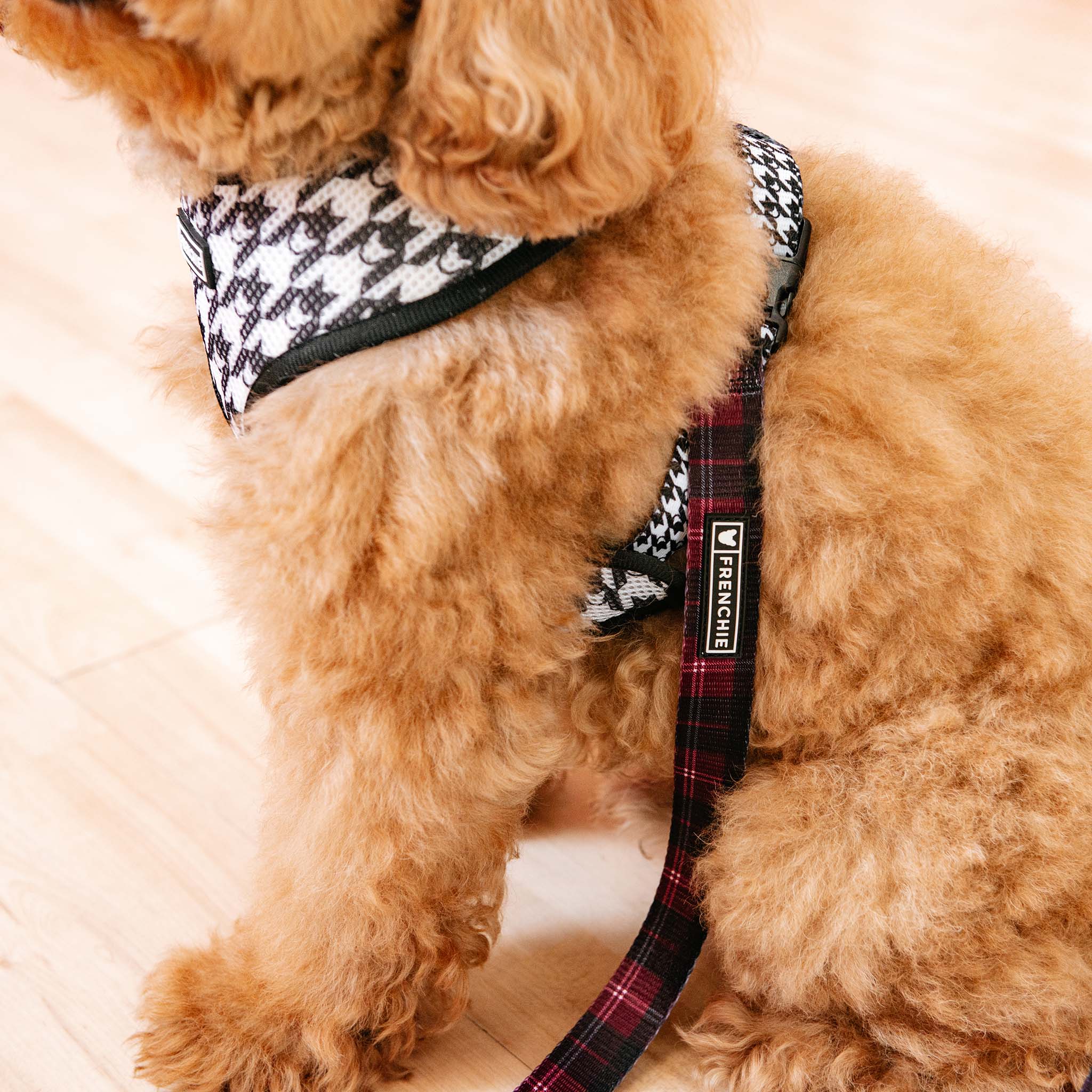 Frenchie Comfort Leash - Classic Plaid
