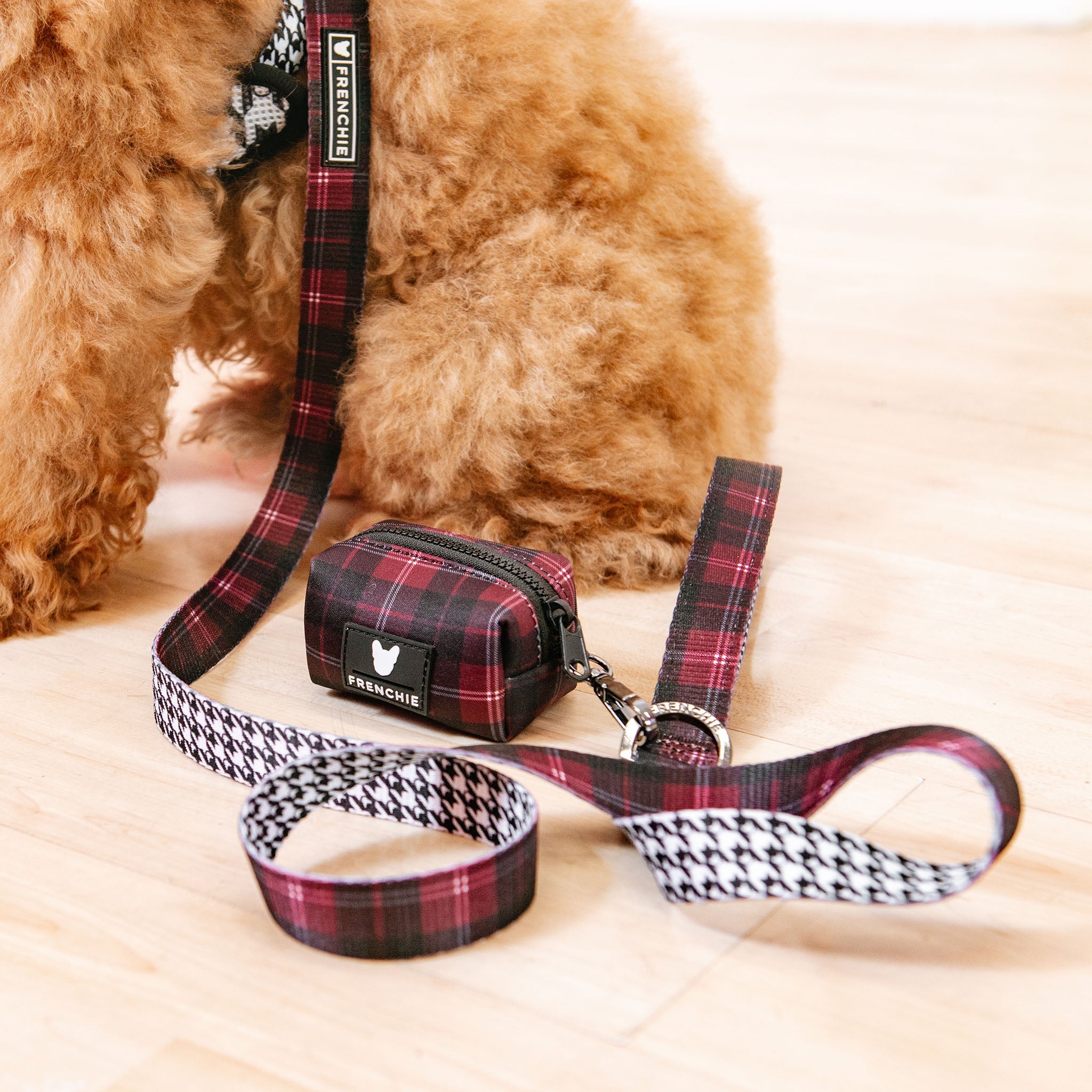 Frenchie Comfort Leash - Classic Plaid