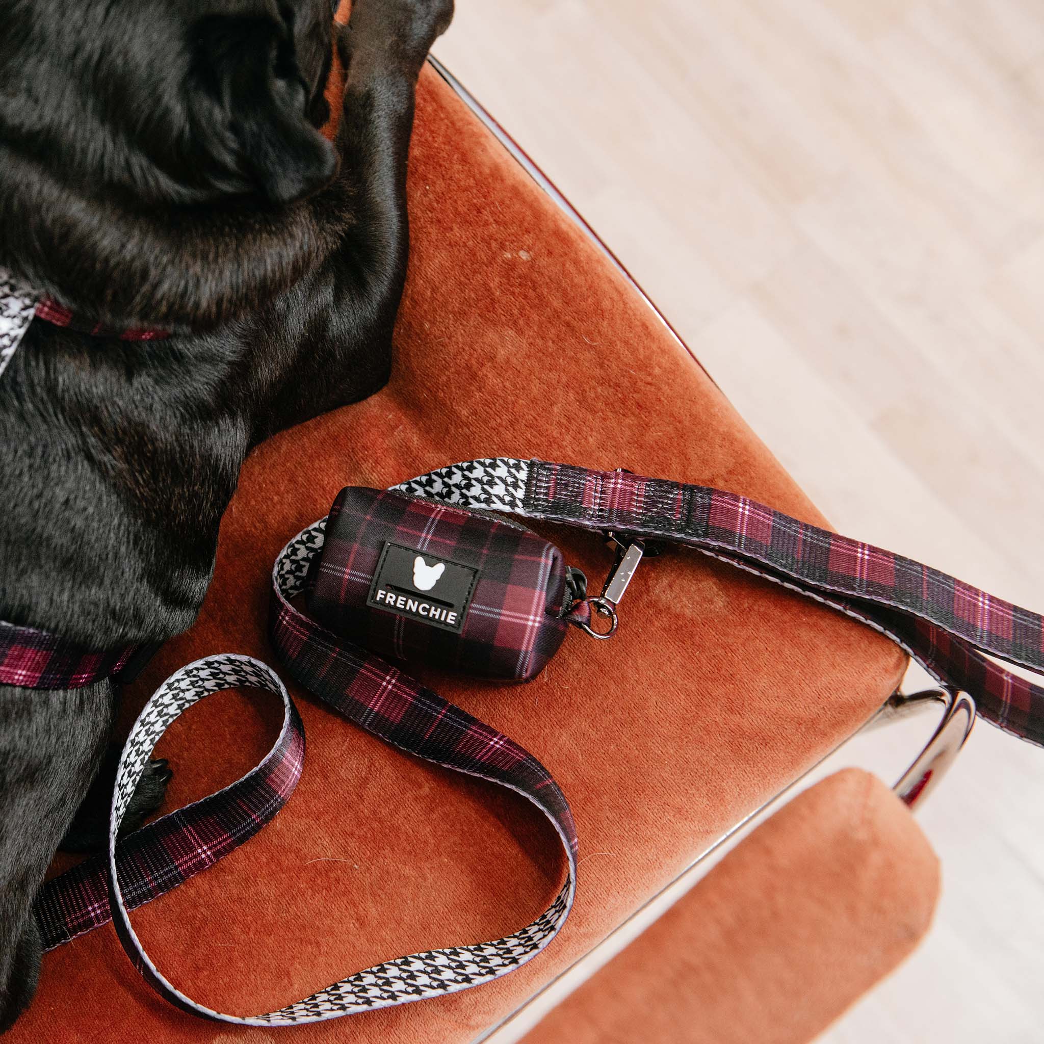 Frenchie Comfort Leash - Classic Plaid