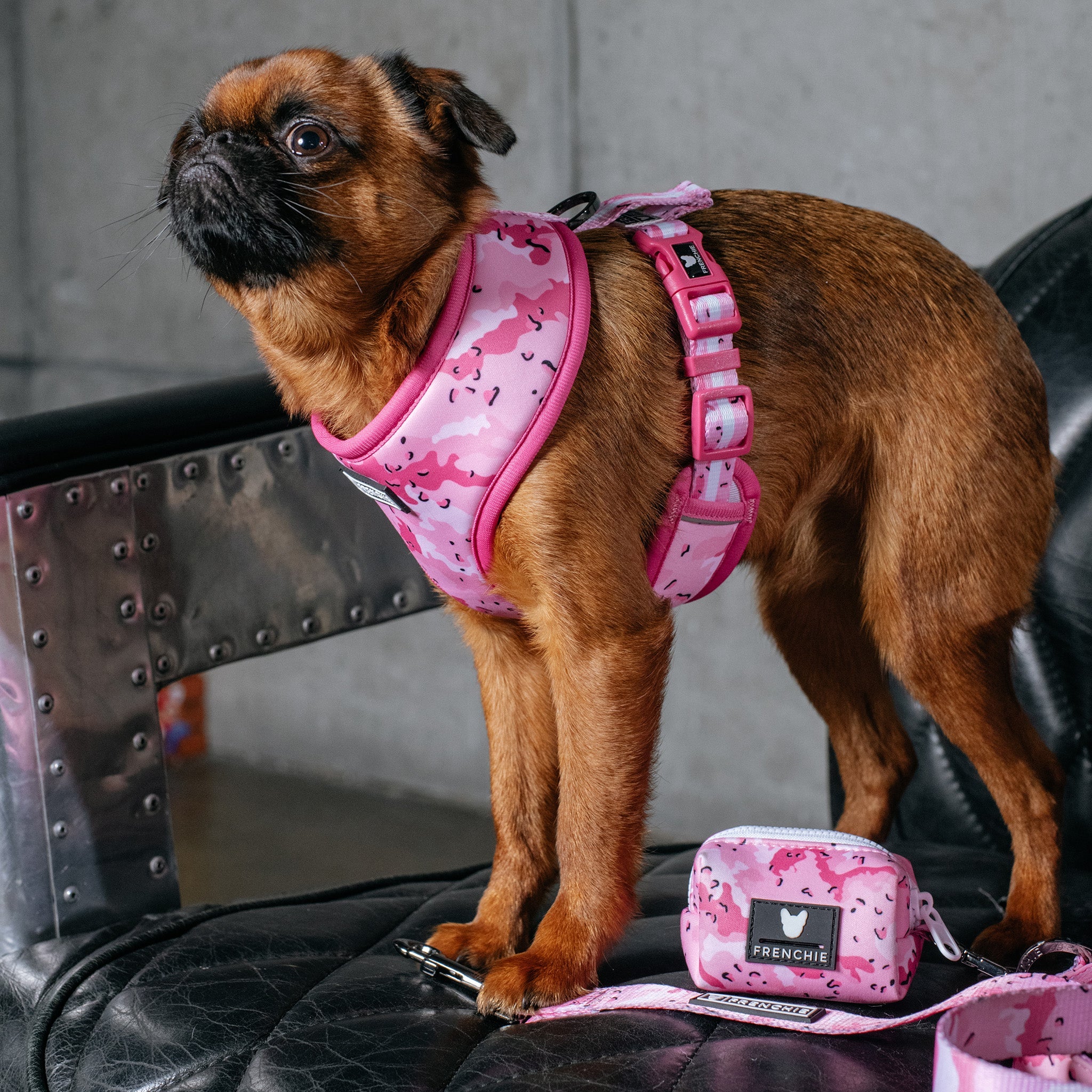 Frenchie Poo Bag Holder - Desert Camo (Pink)