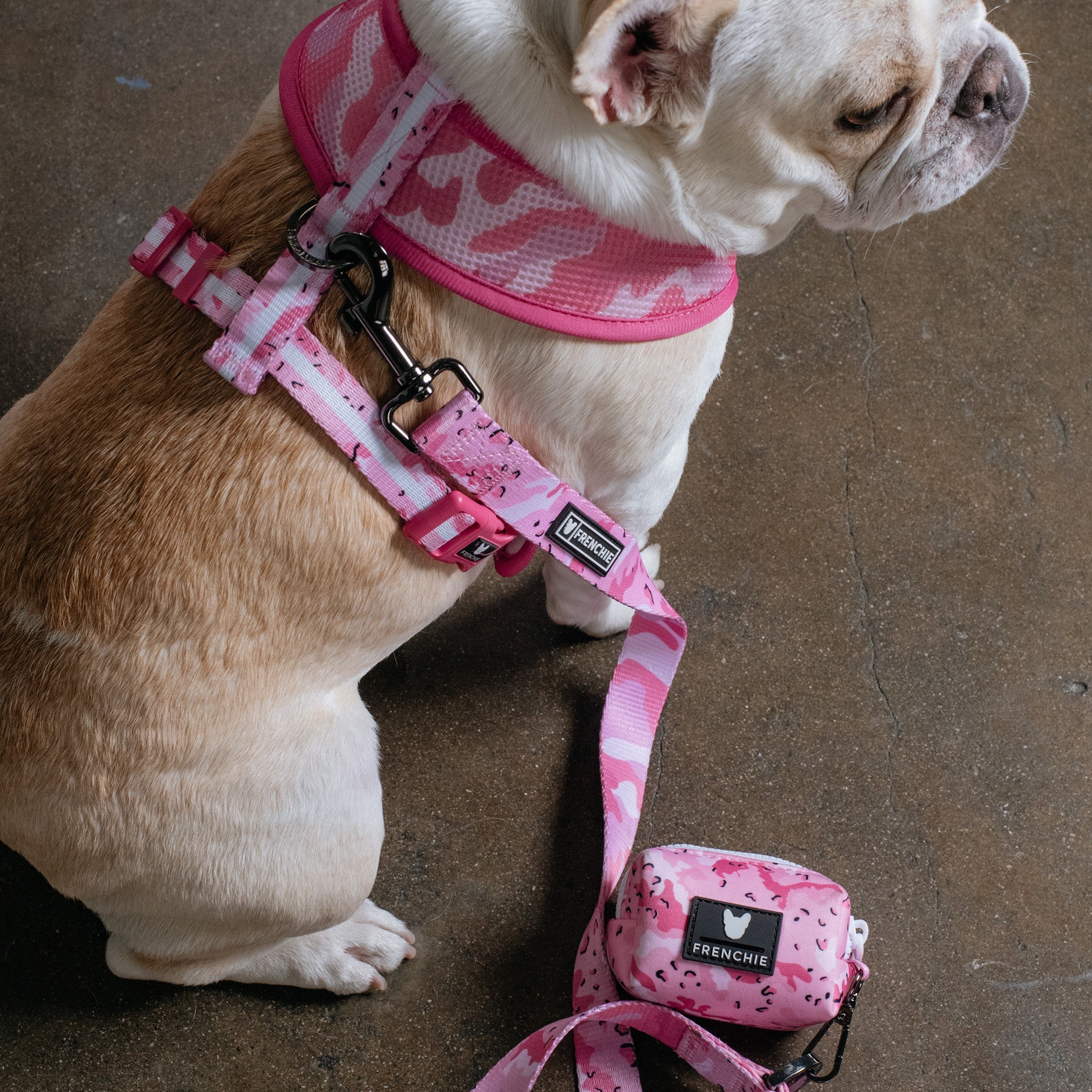 Frenchie Poo Bag Holder - Desert Camo (Pink)