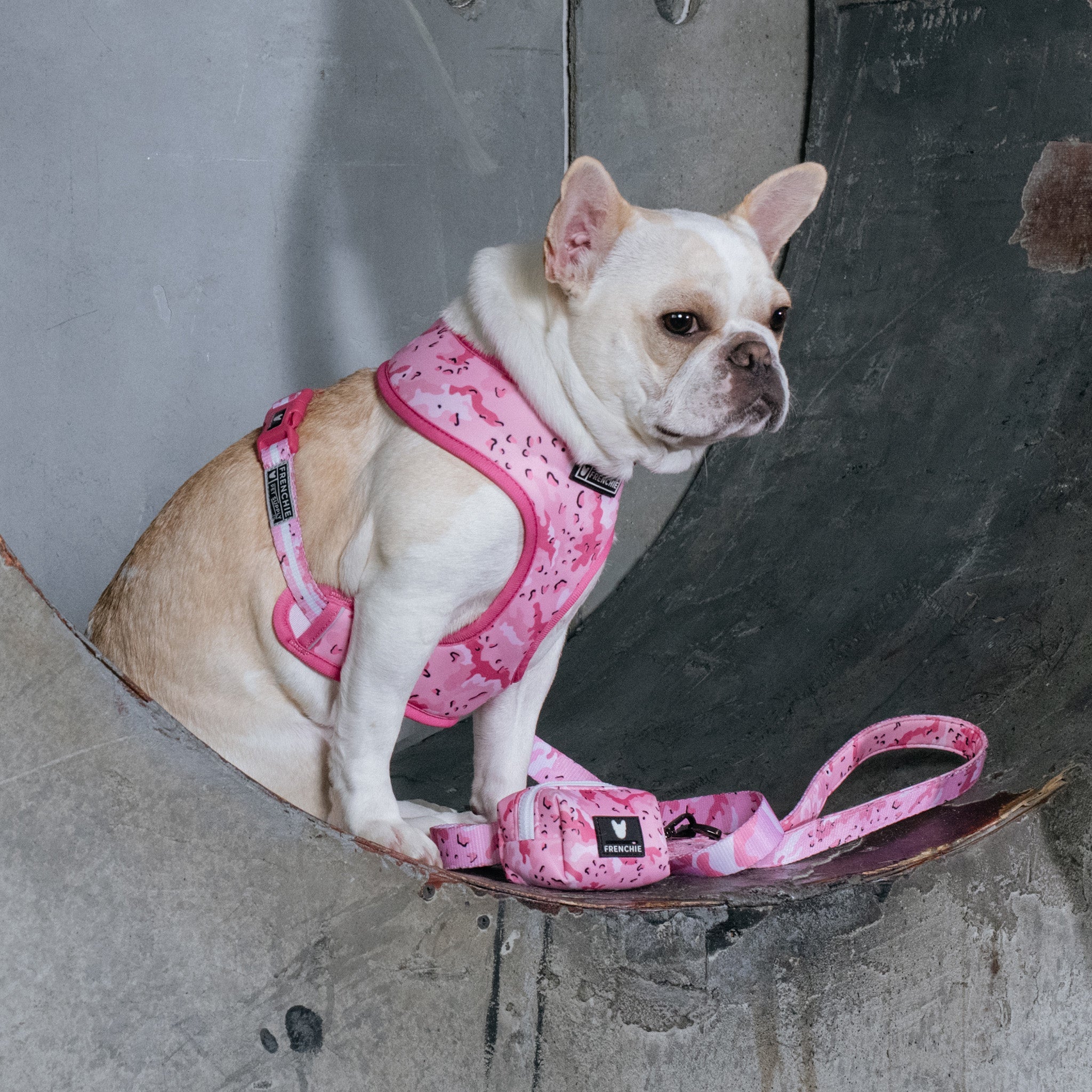 Frenchie Poo Bag Holder - Desert Camo (Pink)