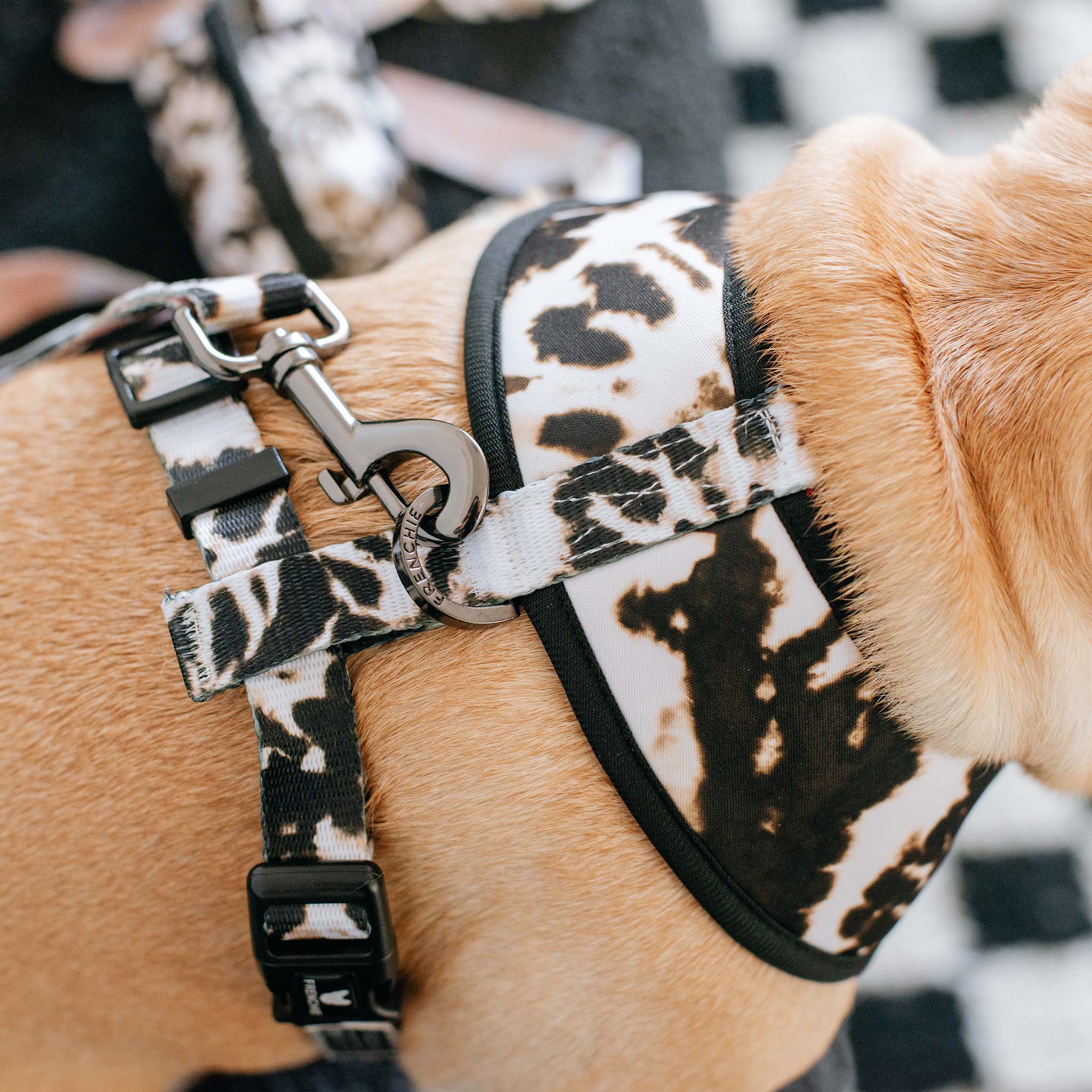 Frenchie Duo Reversible Harness - Earthy Tie Dye - HT Animal Supply