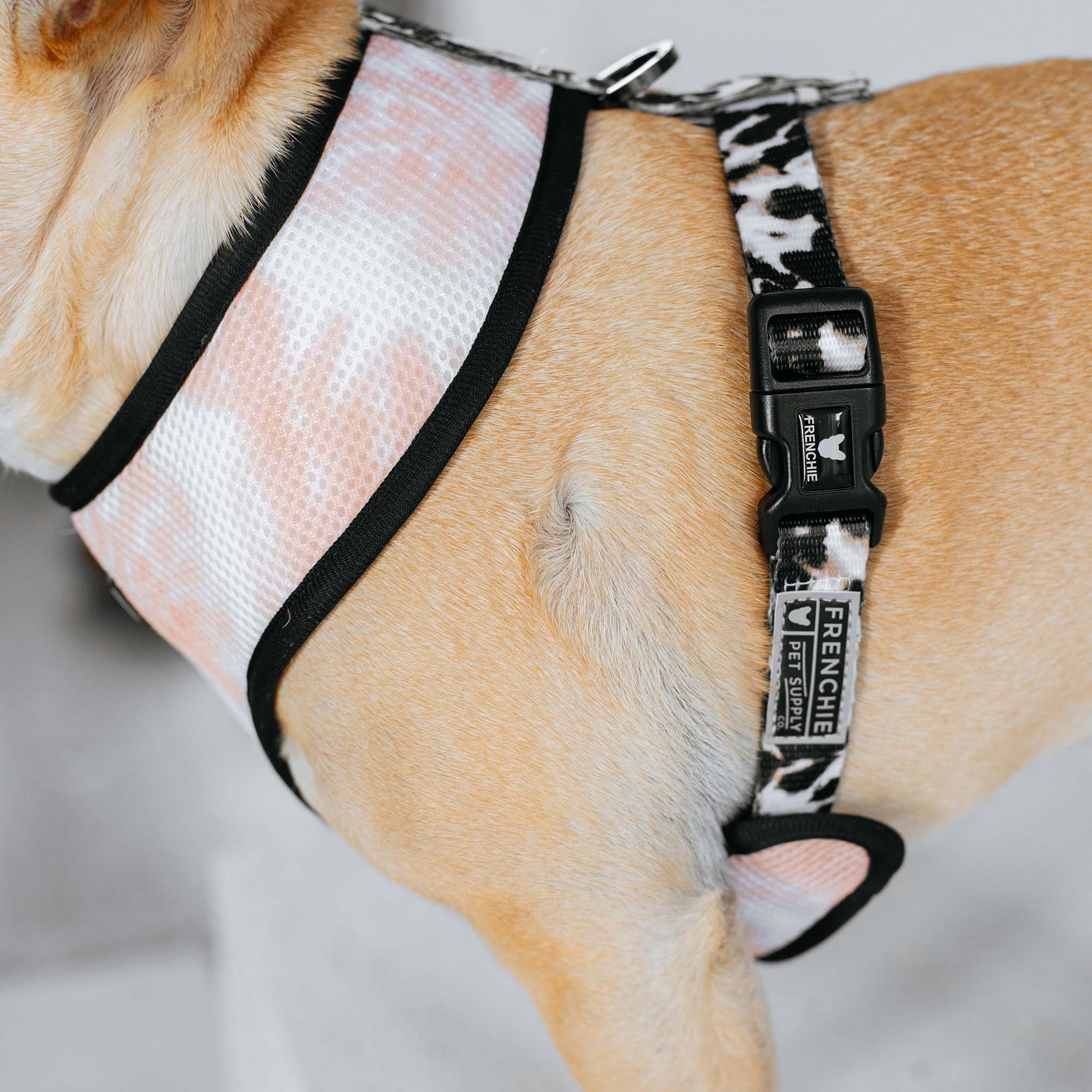 Frenchie Duo Reversible Harness - Earthy Tie Dye - HT Animal Supply