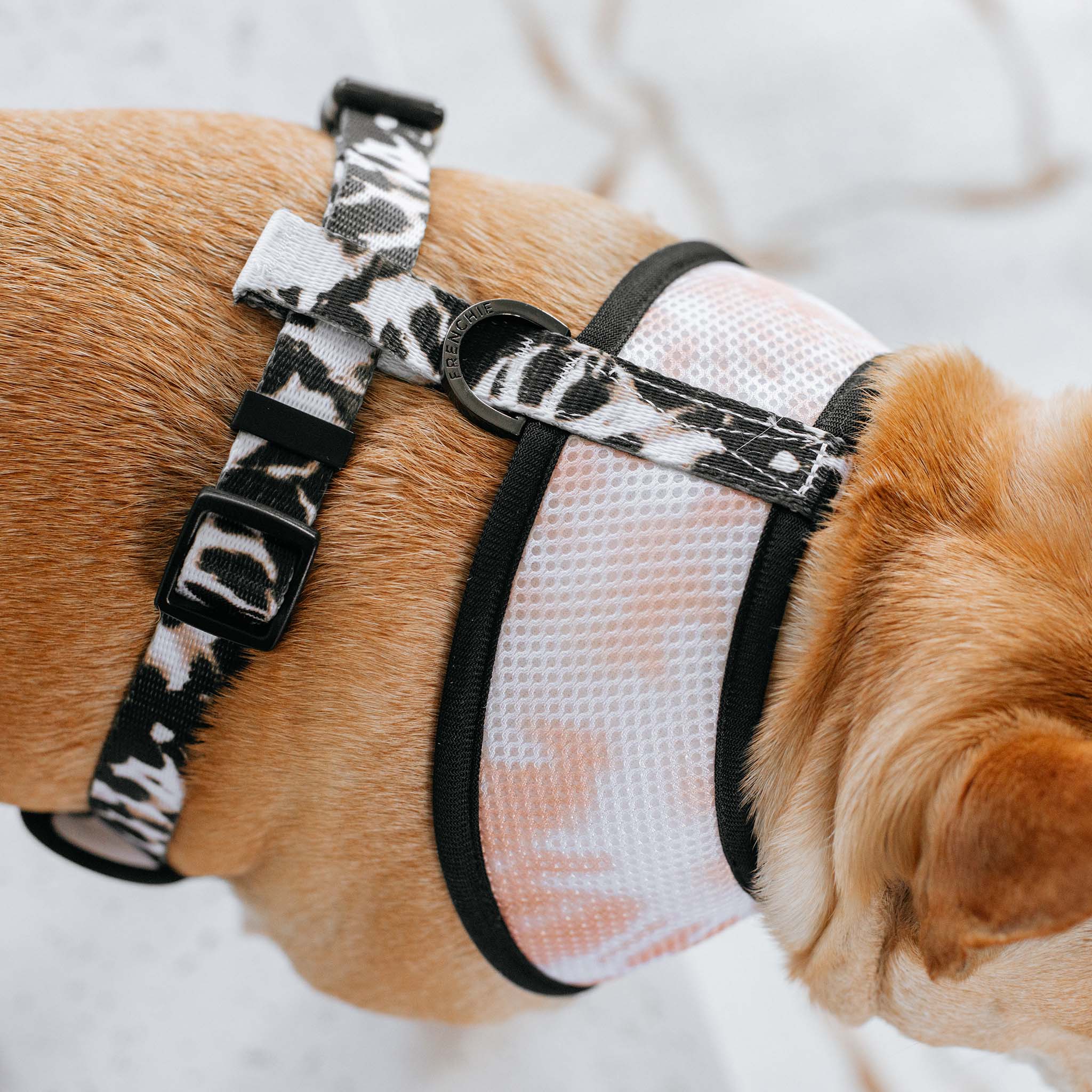 Frenchie Duo Reversible Harness - Earthy Tie Dye - HT Animal Supply