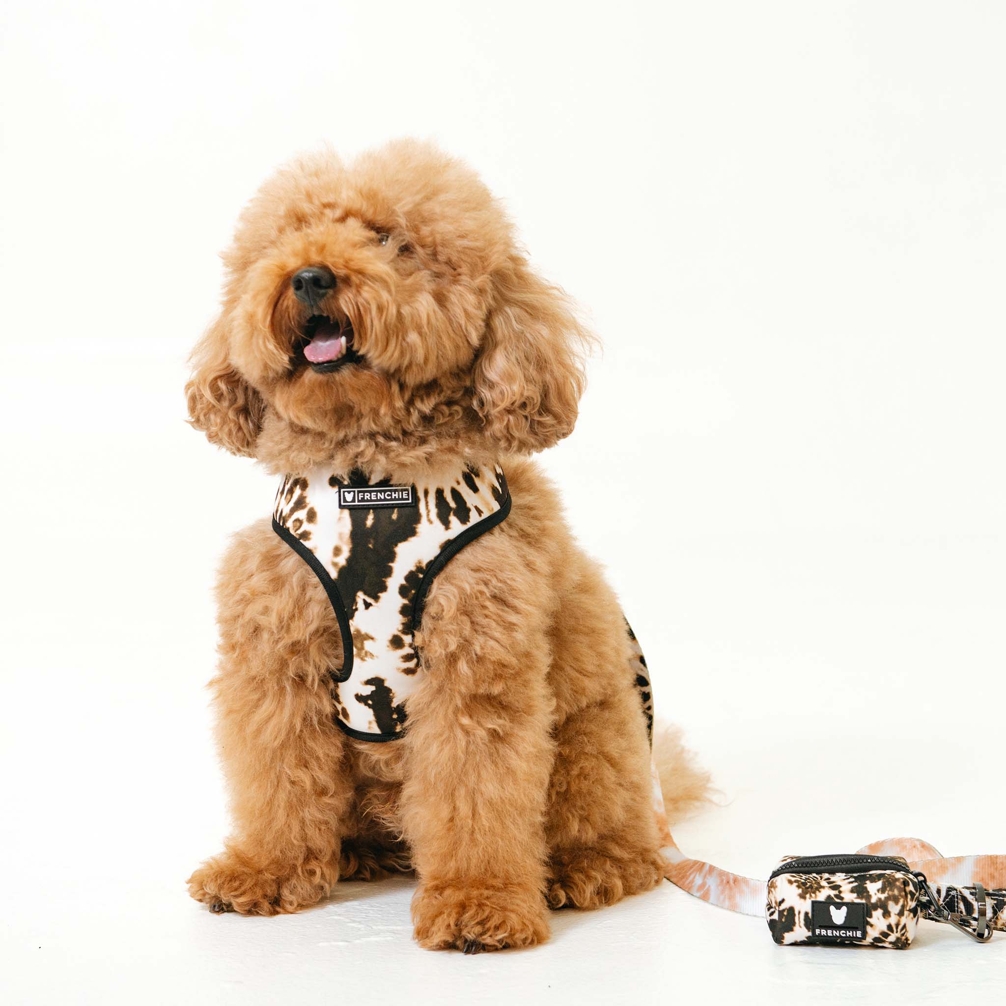 Frenchie Duo Reversible Harness - Earthy Tie Dye - HT Animal Supply