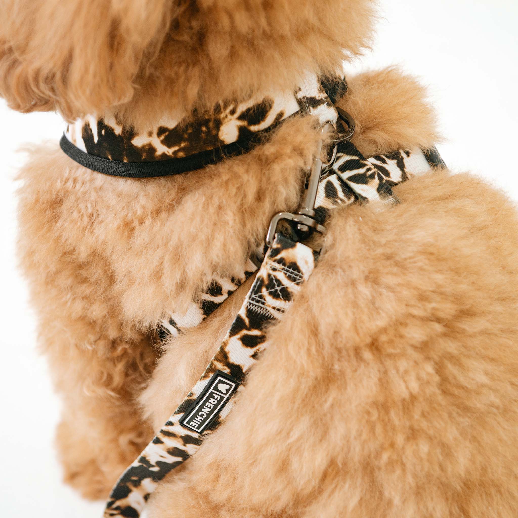 Frenchie Comfort Leash - Earthy Tie Dye