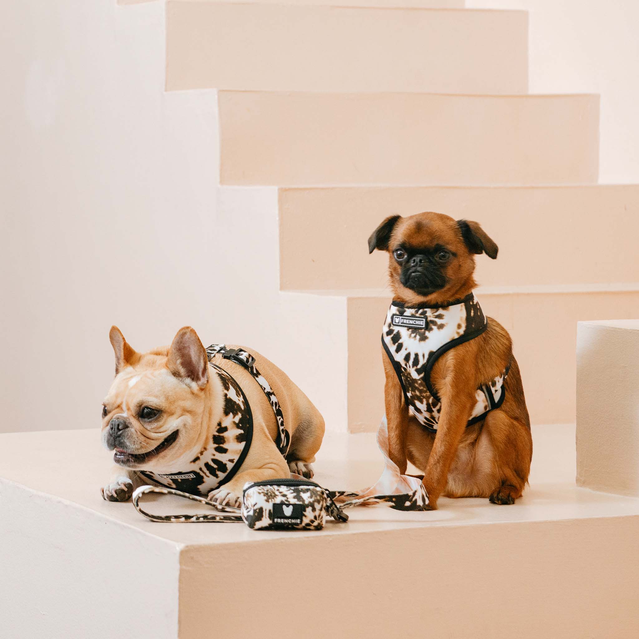 Frenchie Duo Reversible Harness - Earthy Tie Dye - HT Animal Supply