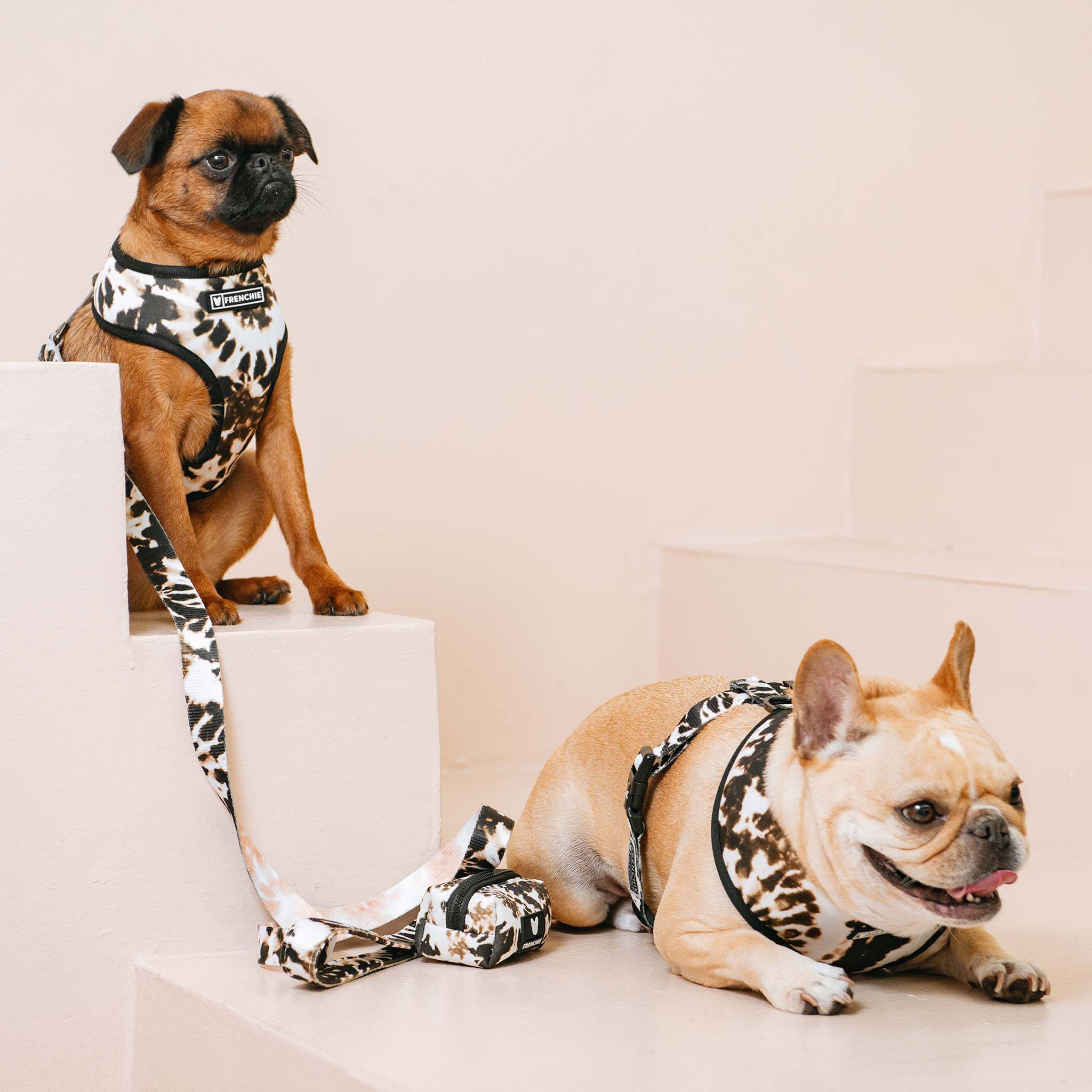 Frenchie Duo Reversible Harness - Earthy Tie Dye - HT Animal Supply