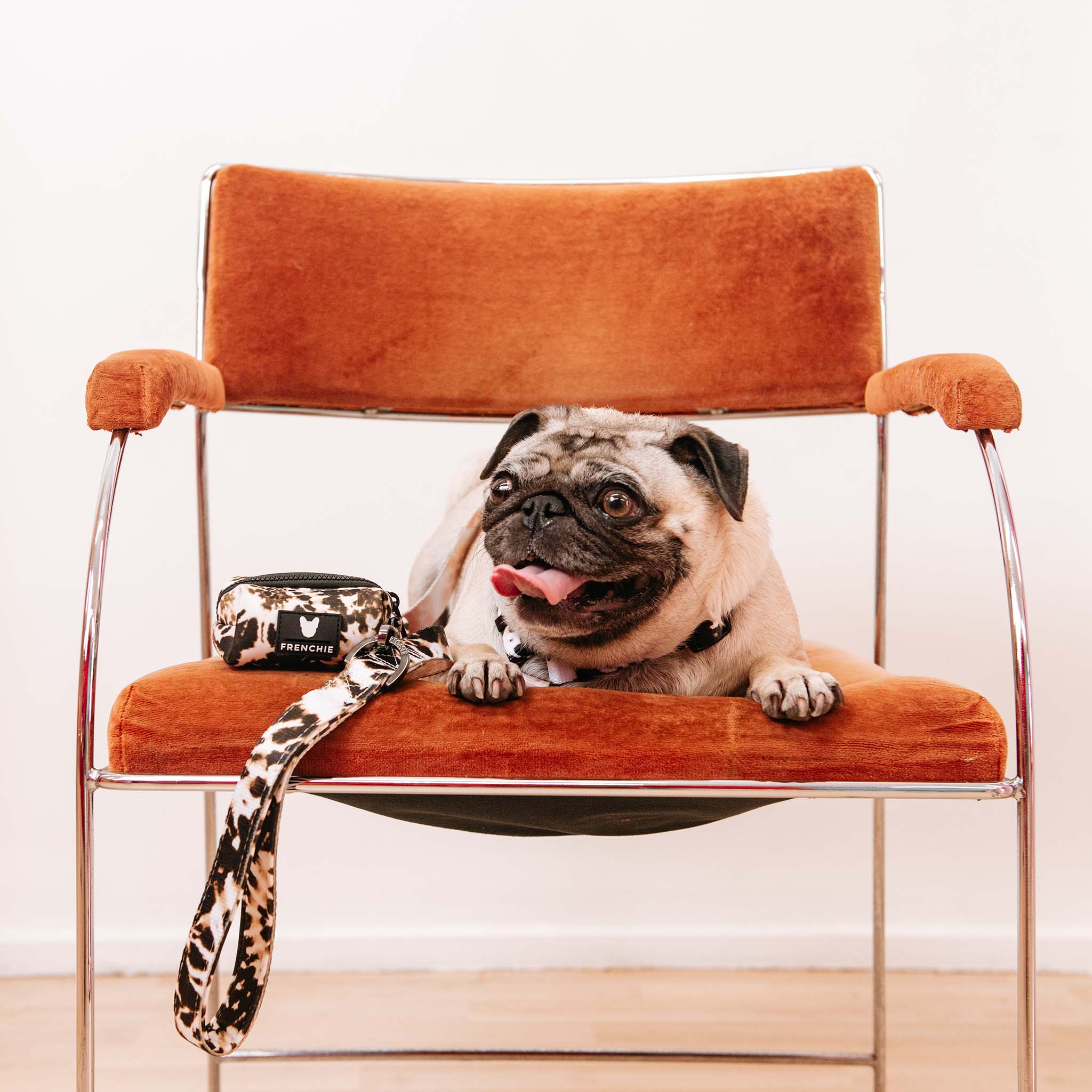 Frenchie Comfort Leash - Earthy Tie Dye