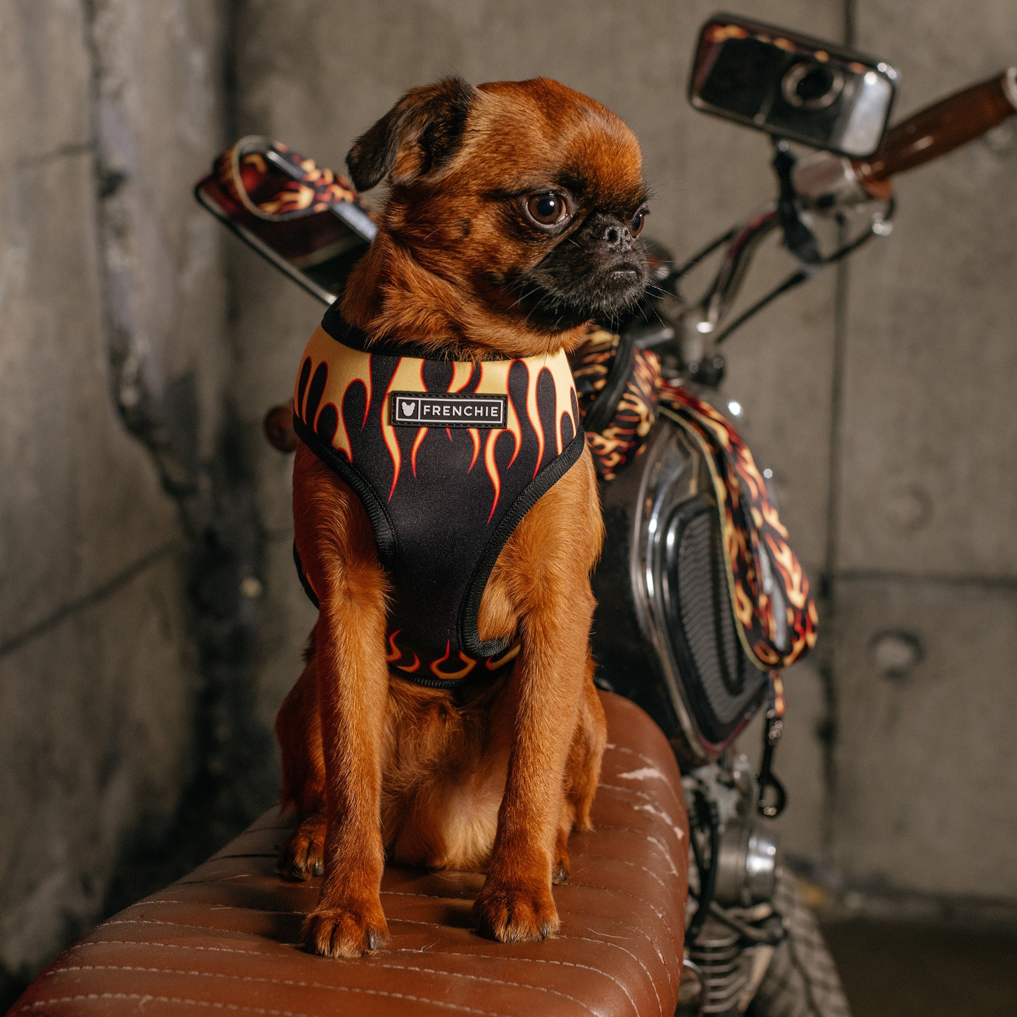 Frenchie Duo Reversible Harness - Flames (Orange)