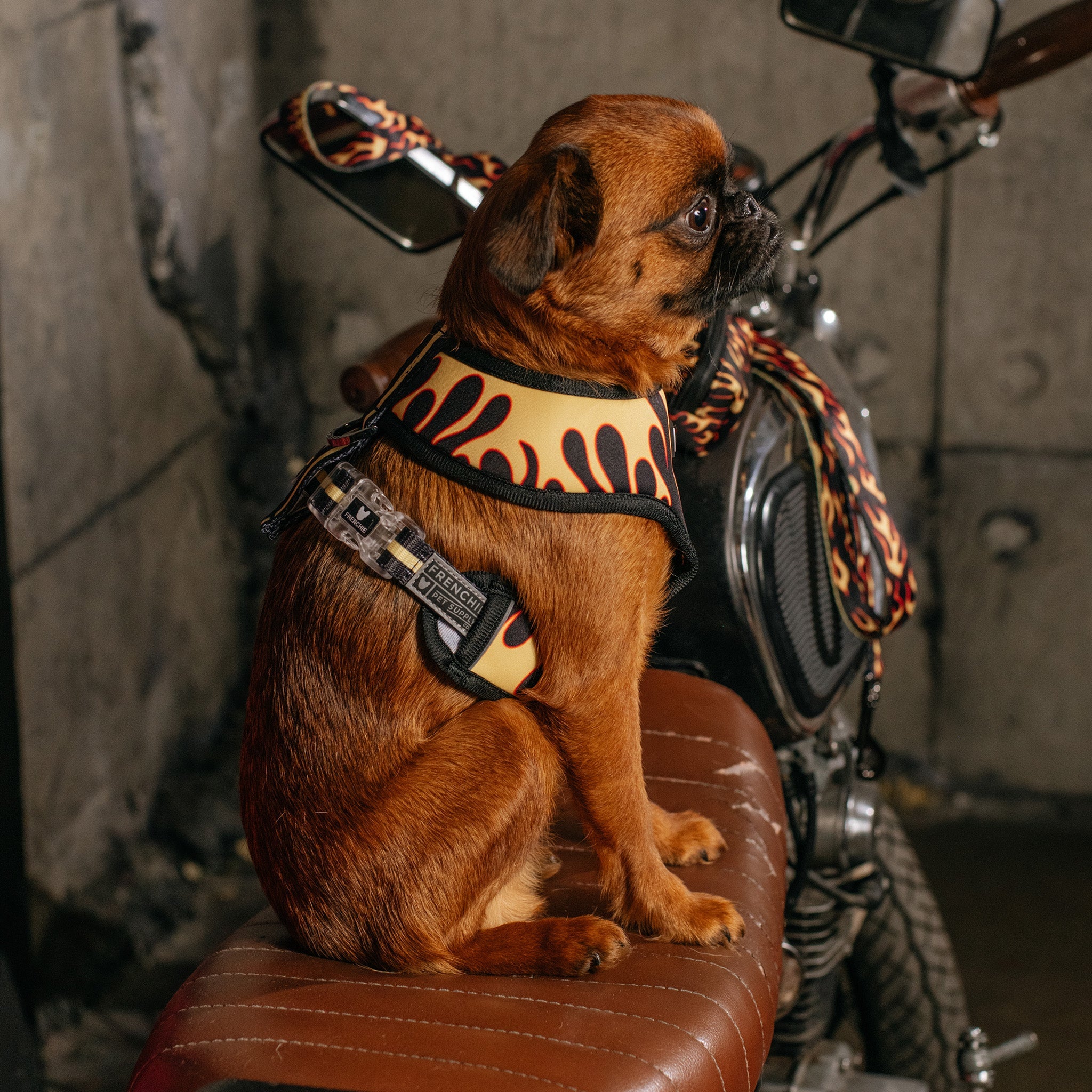 Frenchie Duo Reversible Harness - Flames (Orange)