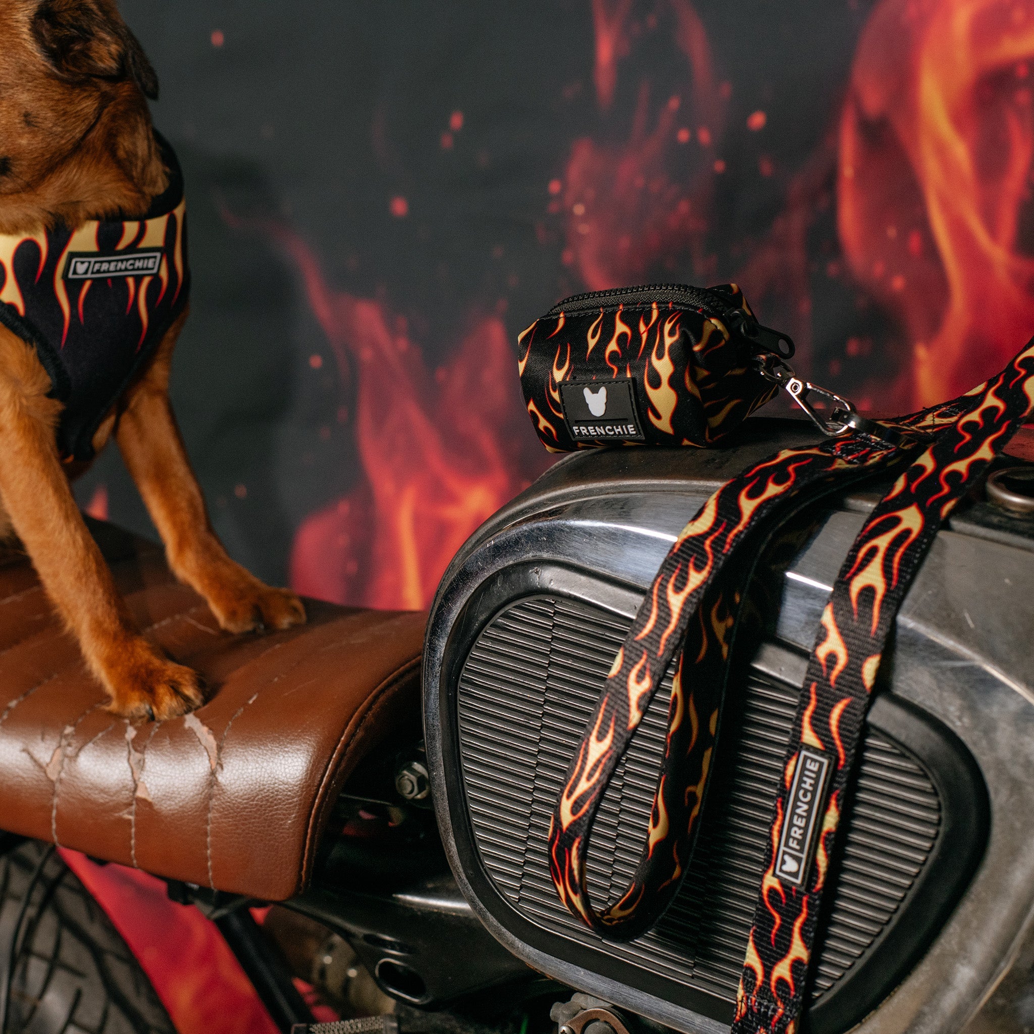 Frenchie Poo Bag Holder - Flames (Orange)