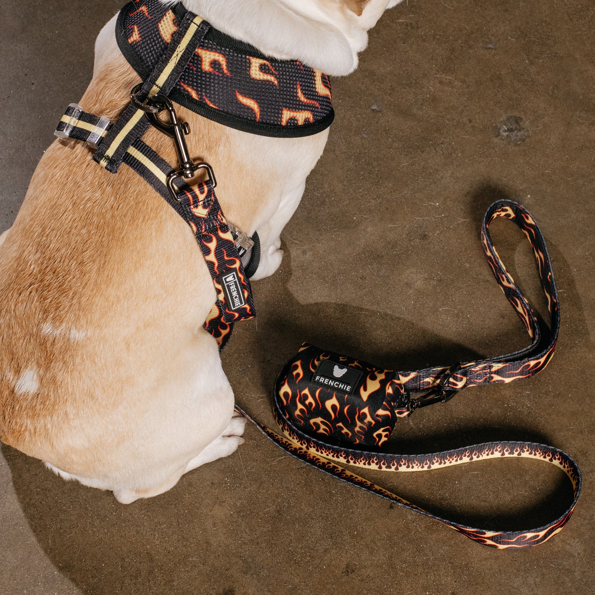 Frenchie Poo Bag Holder - Flames (Orange)