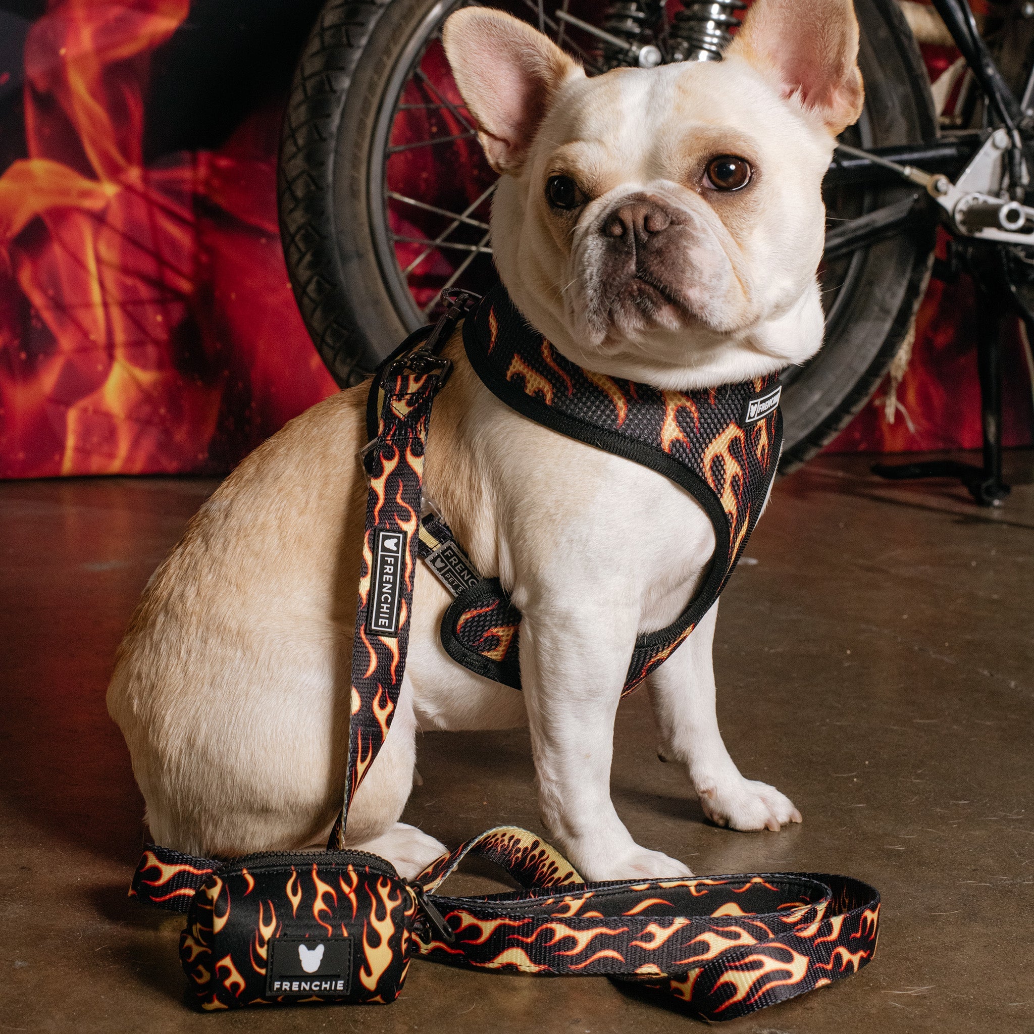 Frenchie Duo Reversible Harness - Flames (Orange)