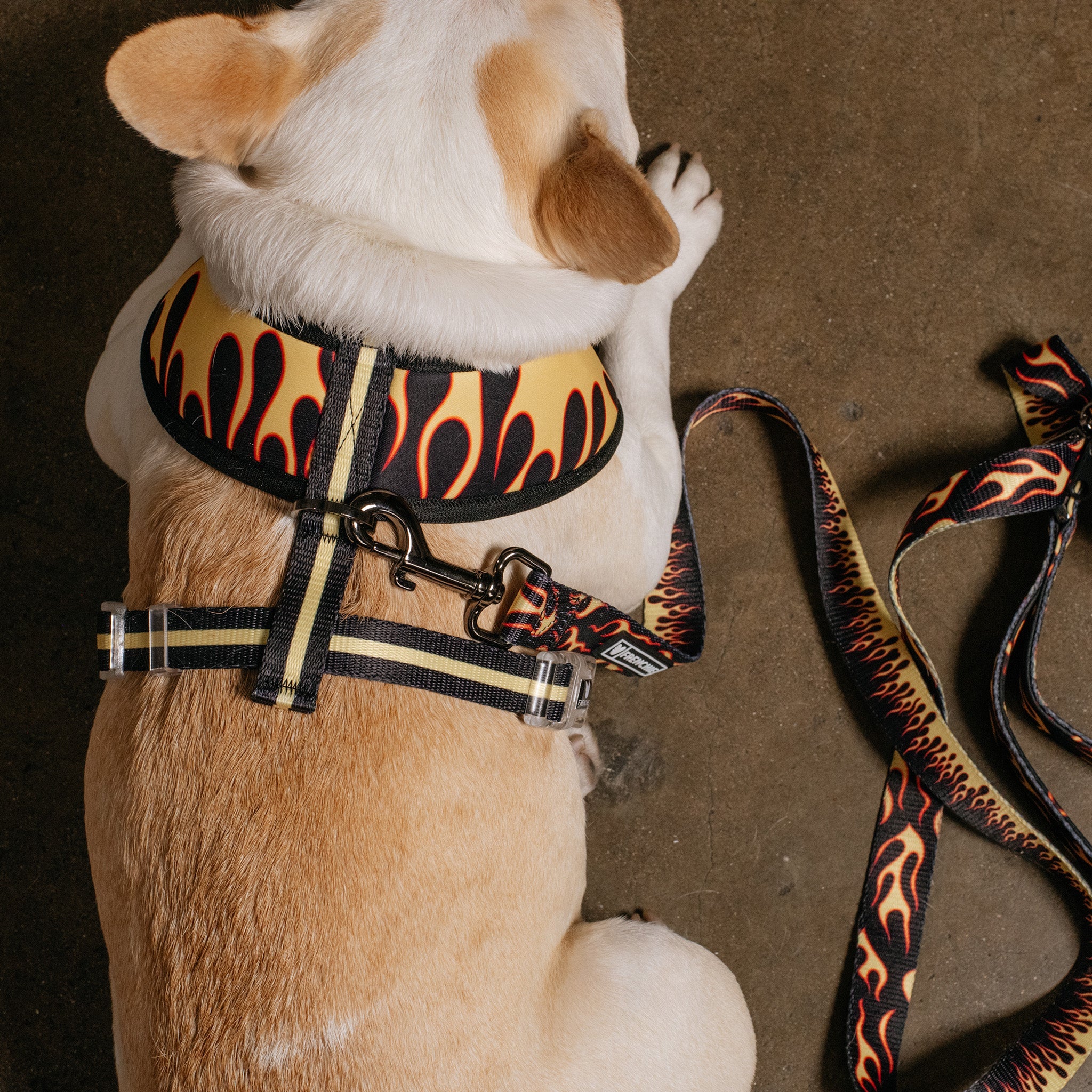 Frenchie Duo Reversible Harness - Flames (Orange)