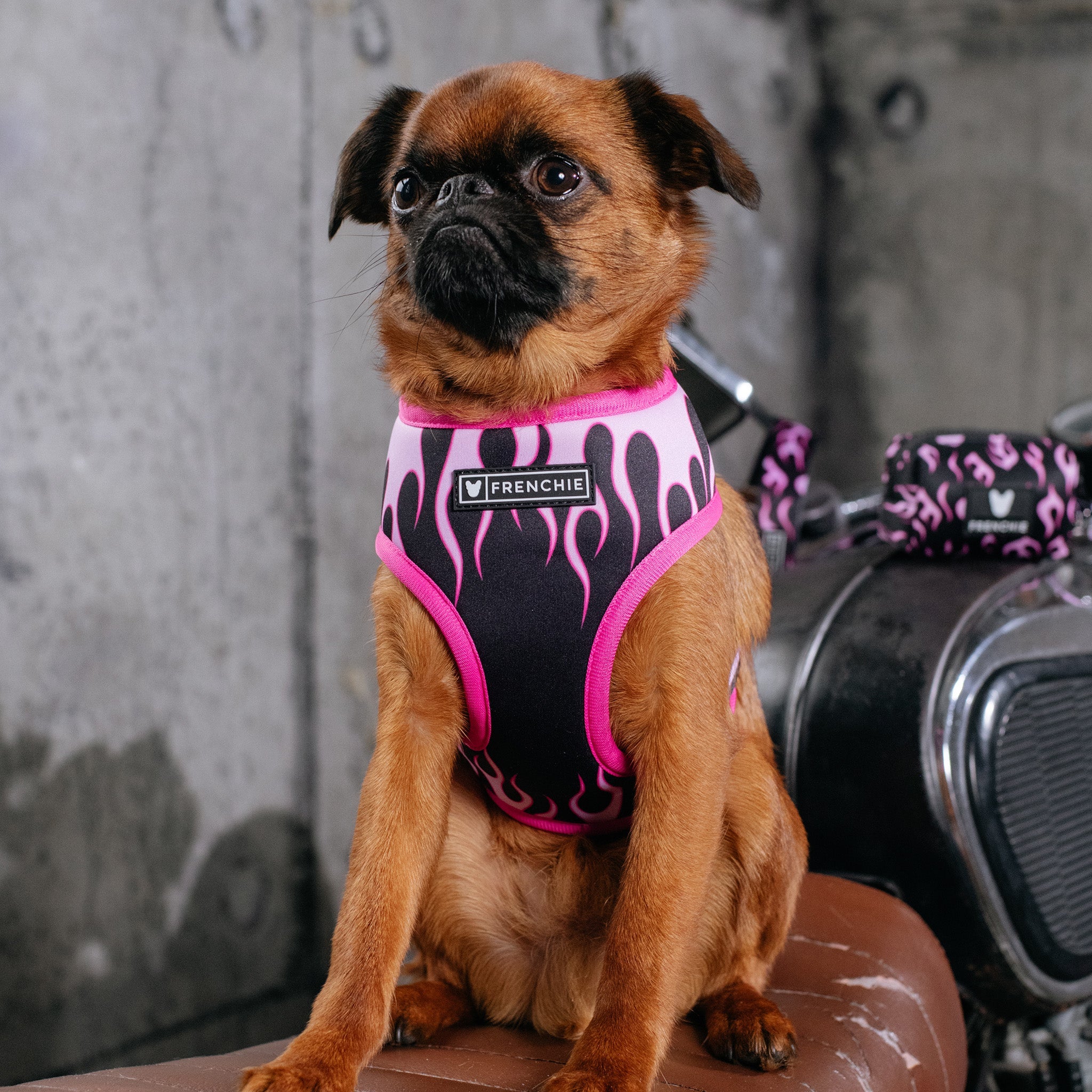 Frenchie Duo Reversible Harness - Flames (Pink)