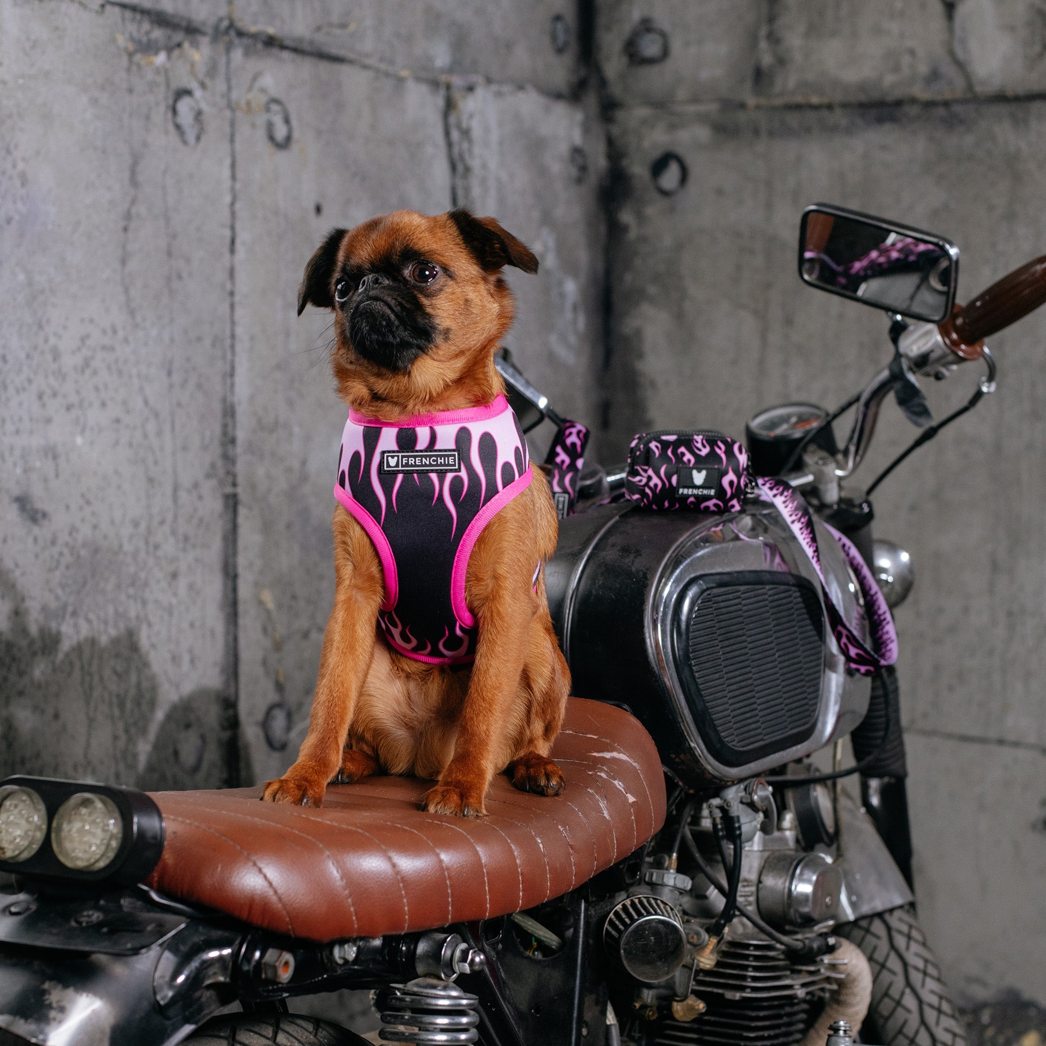 Frenchie Duo Reversible Harness - Flames (Pink)