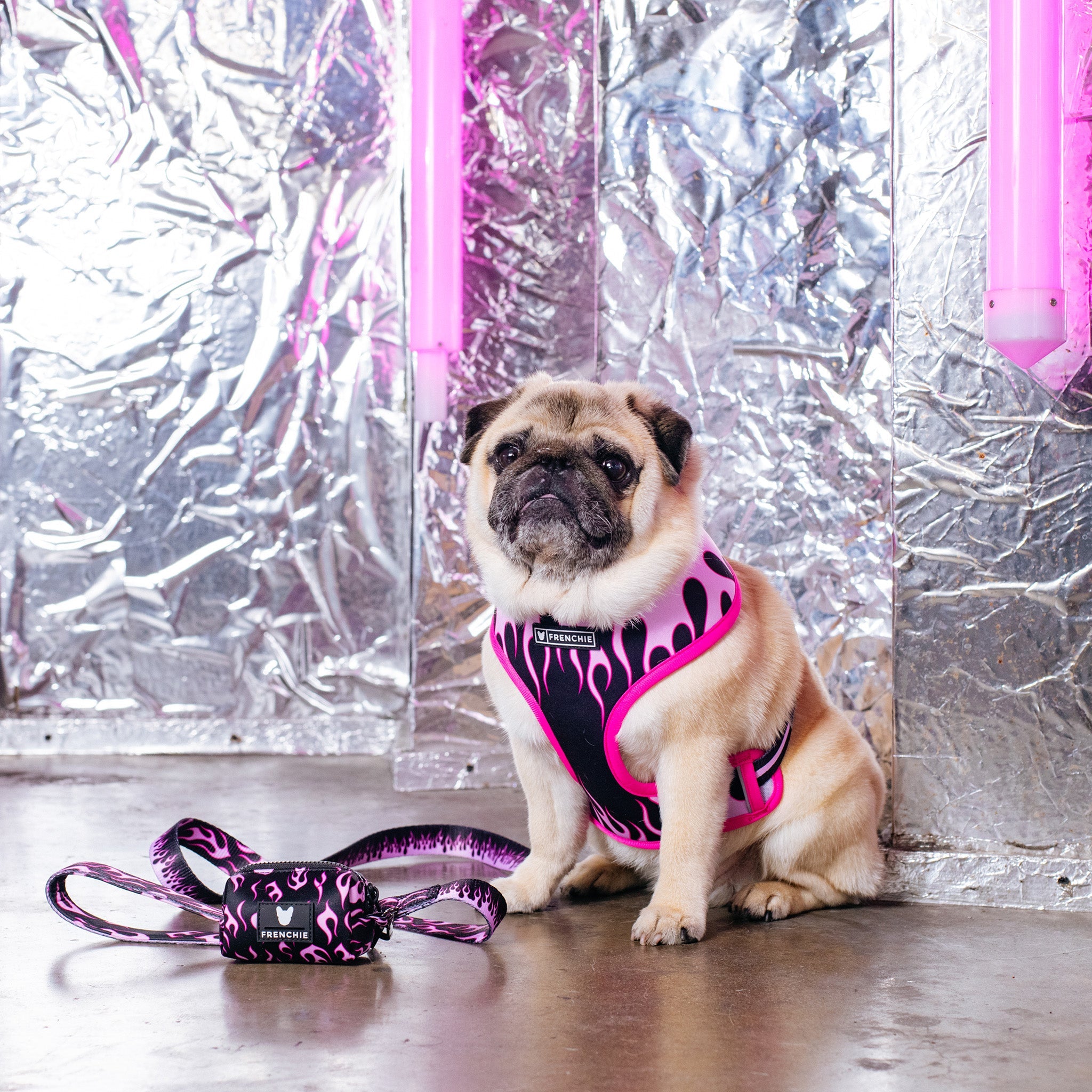 Frenchie Duo Reversible Harness - Flames (Pink)