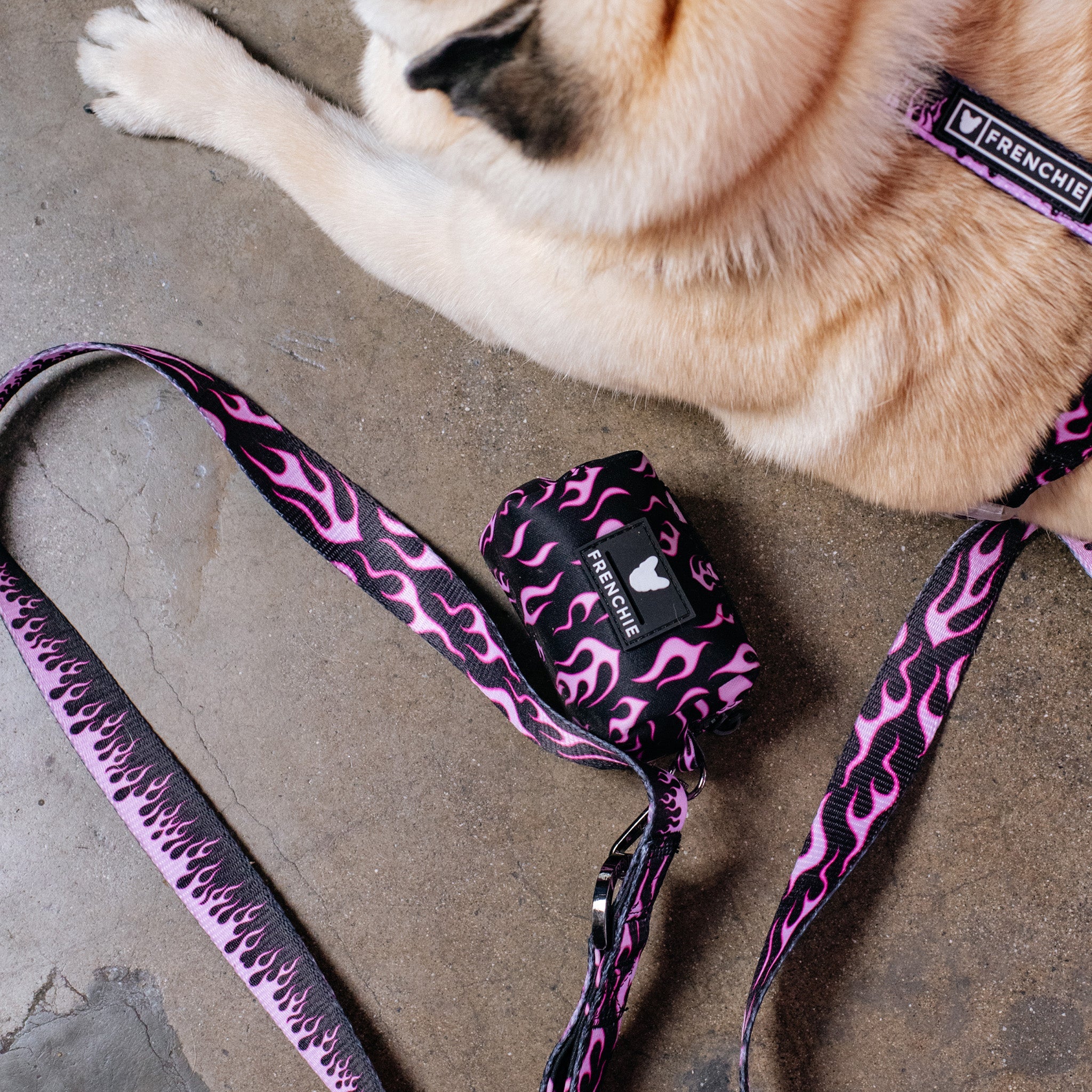 Frenchie Poo Bag Holder - Flames (Pink)