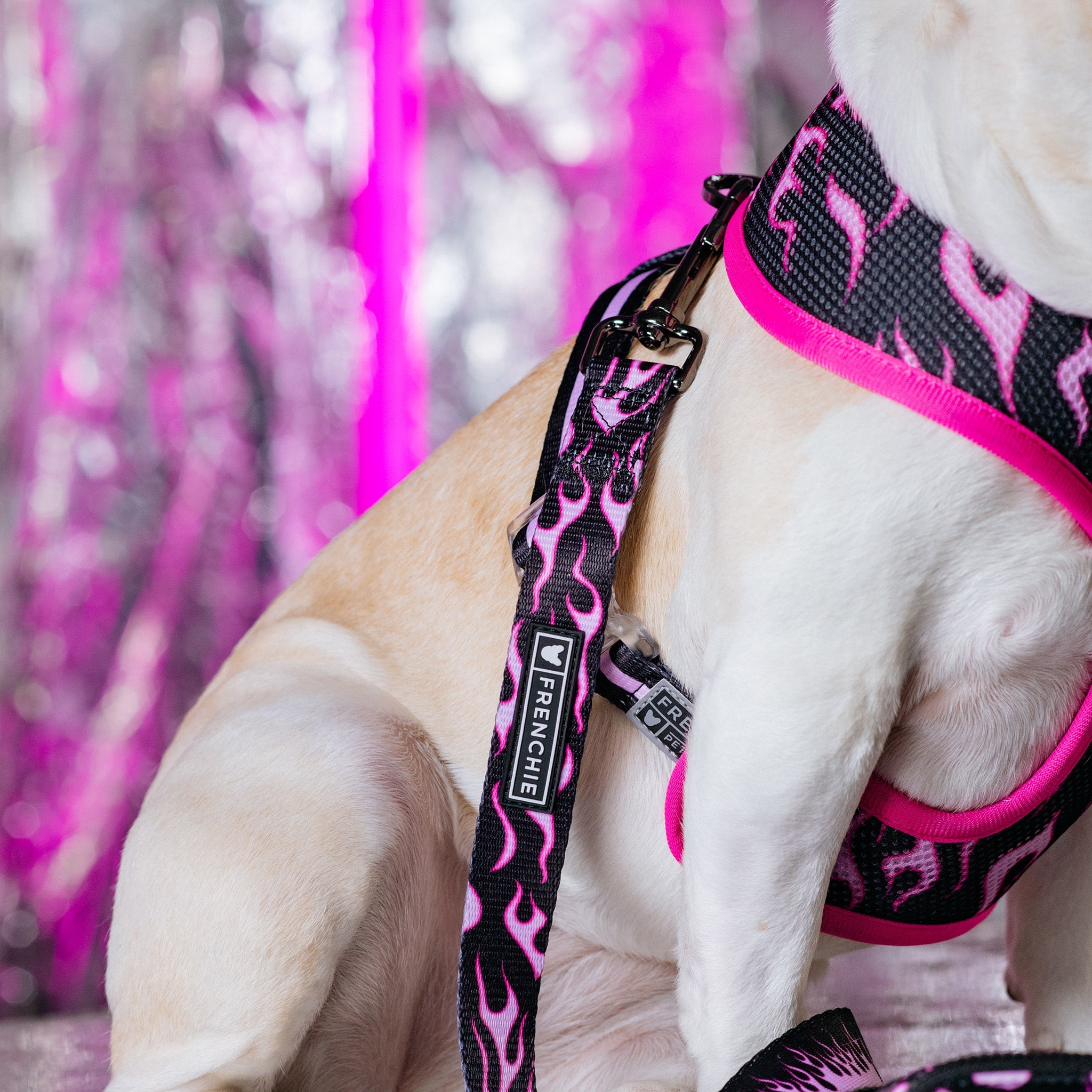 Frenchie Duo Reversible Harness - Flames (Pink)