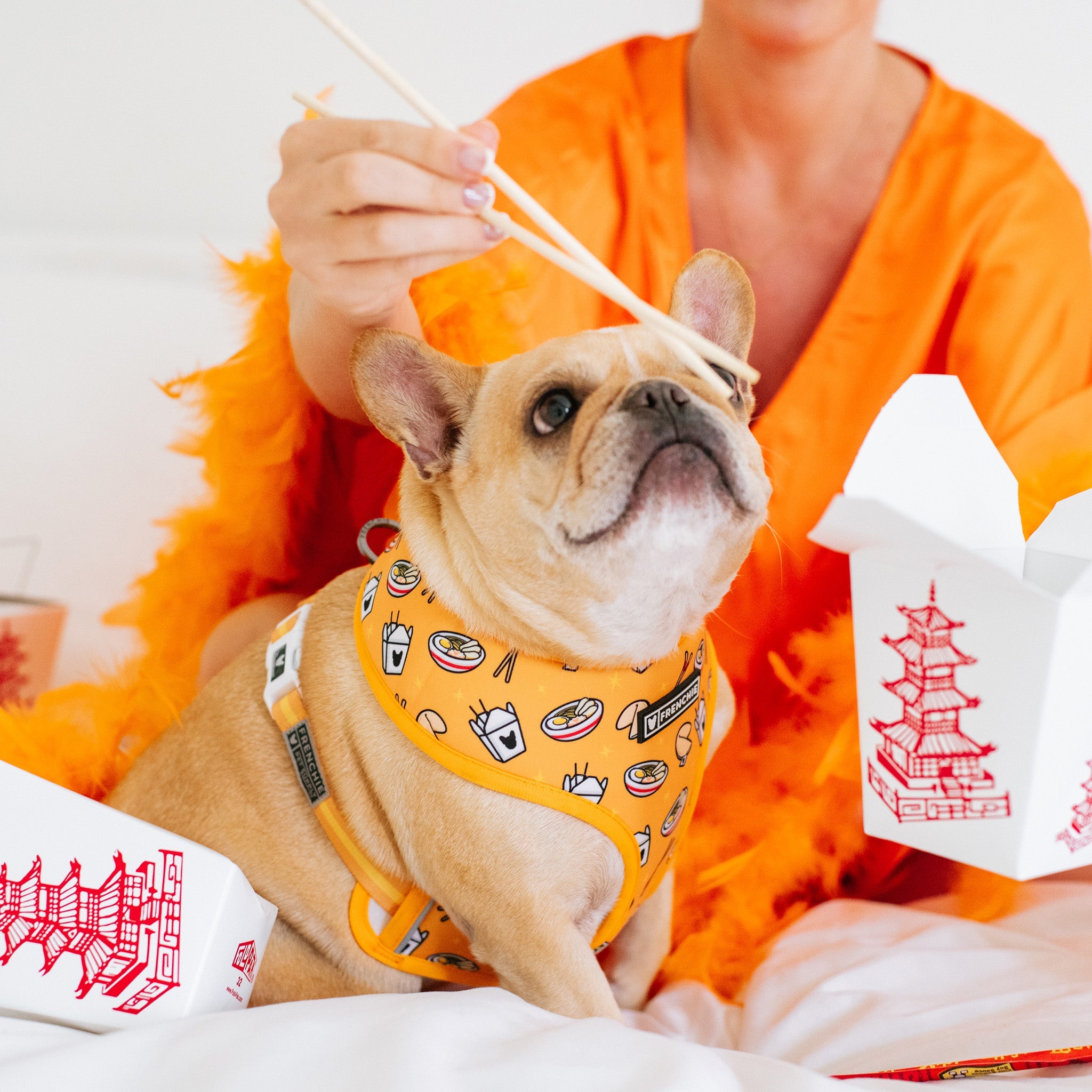 Frenchie Duo Reversible Harness - Frenchie Takeout