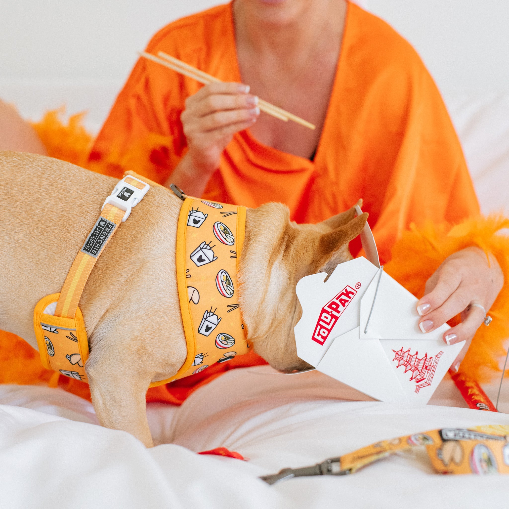 Frenchie Duo Reversible Harness - Frenchie Takeout