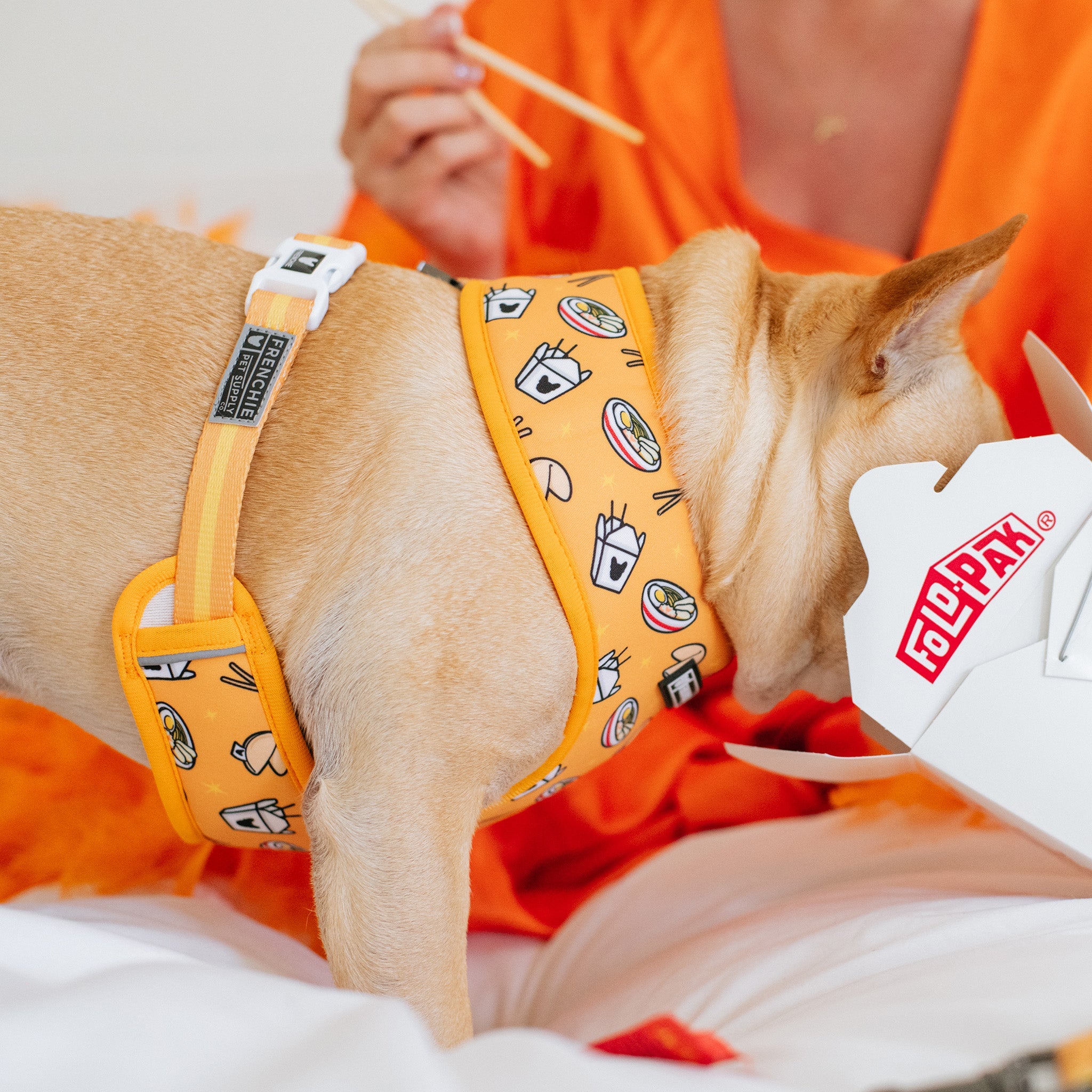 Frenchie Duo Reversible Harness - Frenchie Takeout