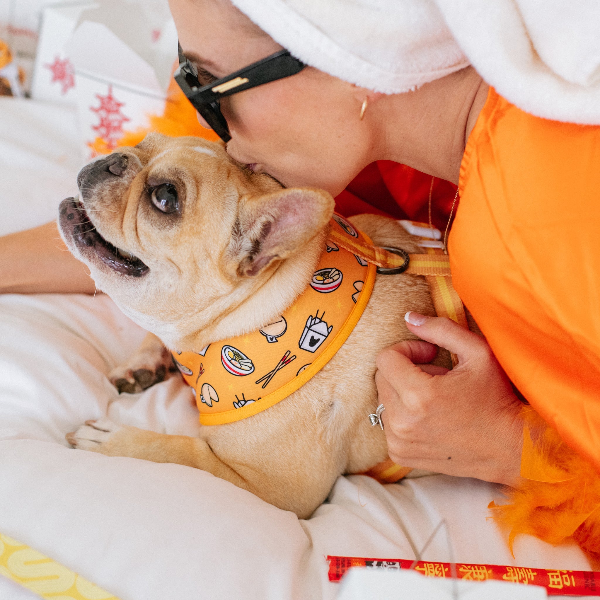 Frenchie Duo Reversible Harness - Frenchie Takeout