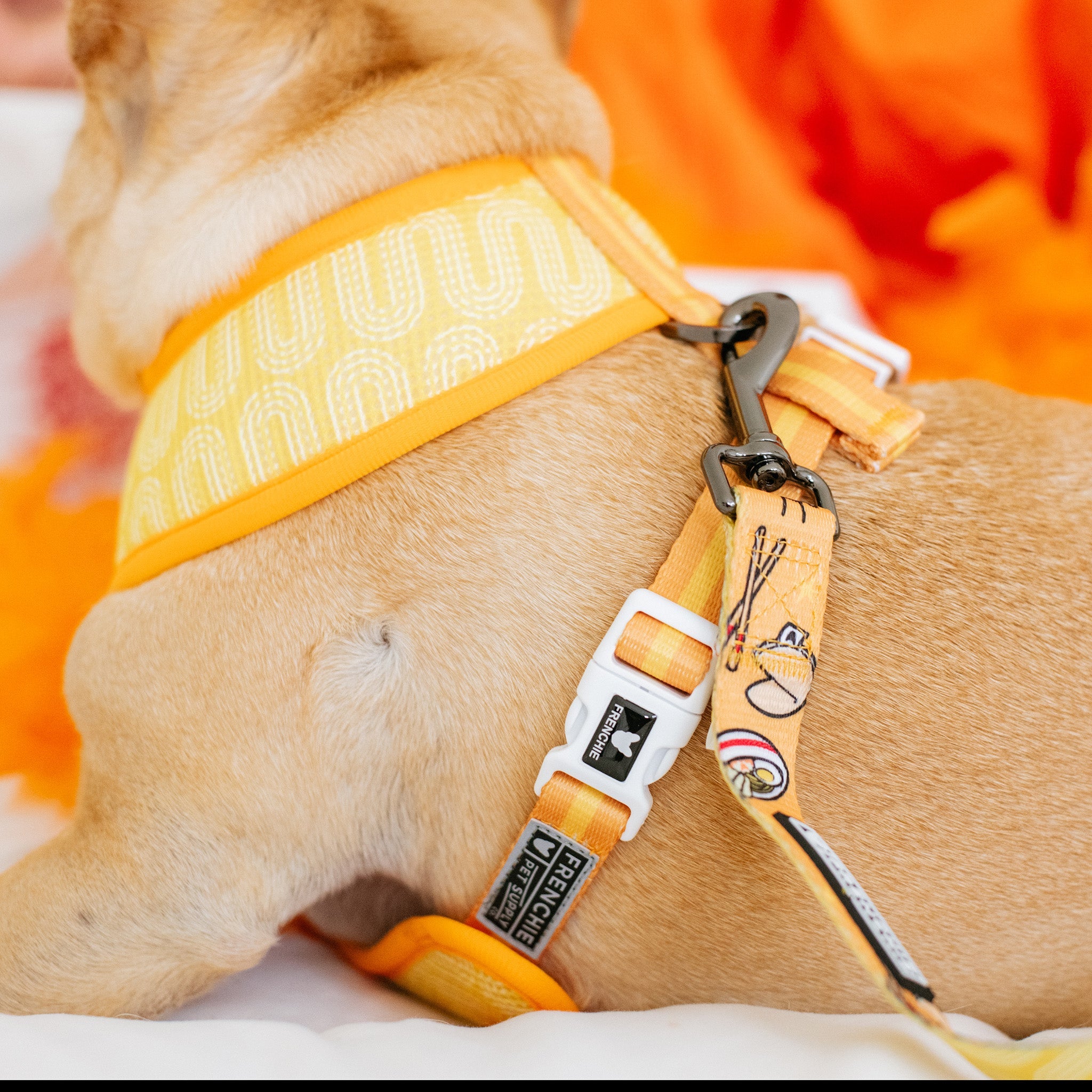 Frenchie Duo Reversible Harness - Frenchie Takeout