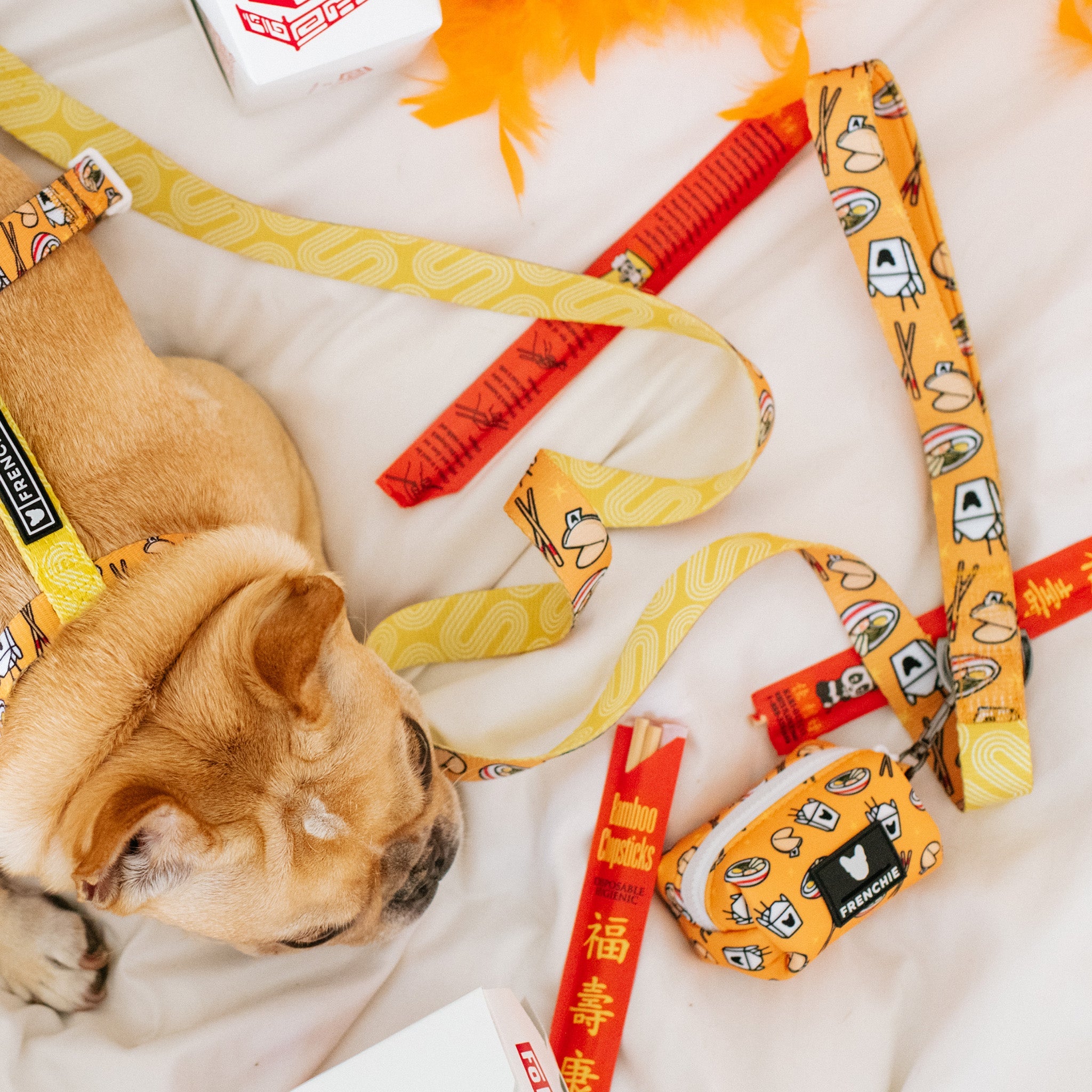 Frenchie Poo Bag Holder - Frenchie Takeout