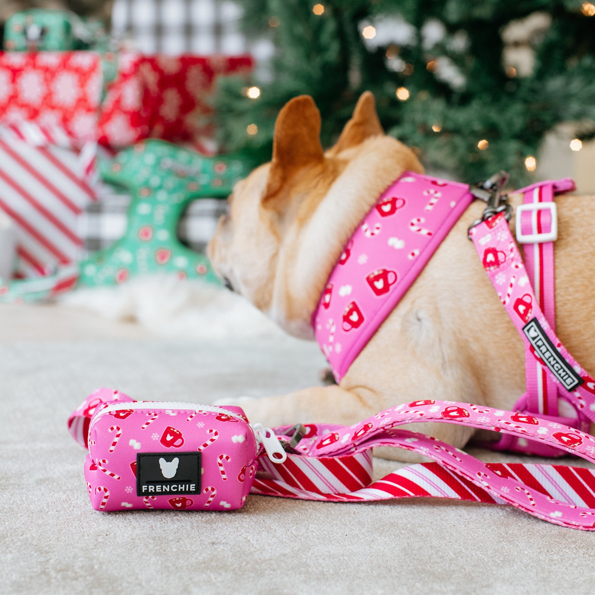 Frenchie Poo Bag Holder - Hot Cocoa (Pink)