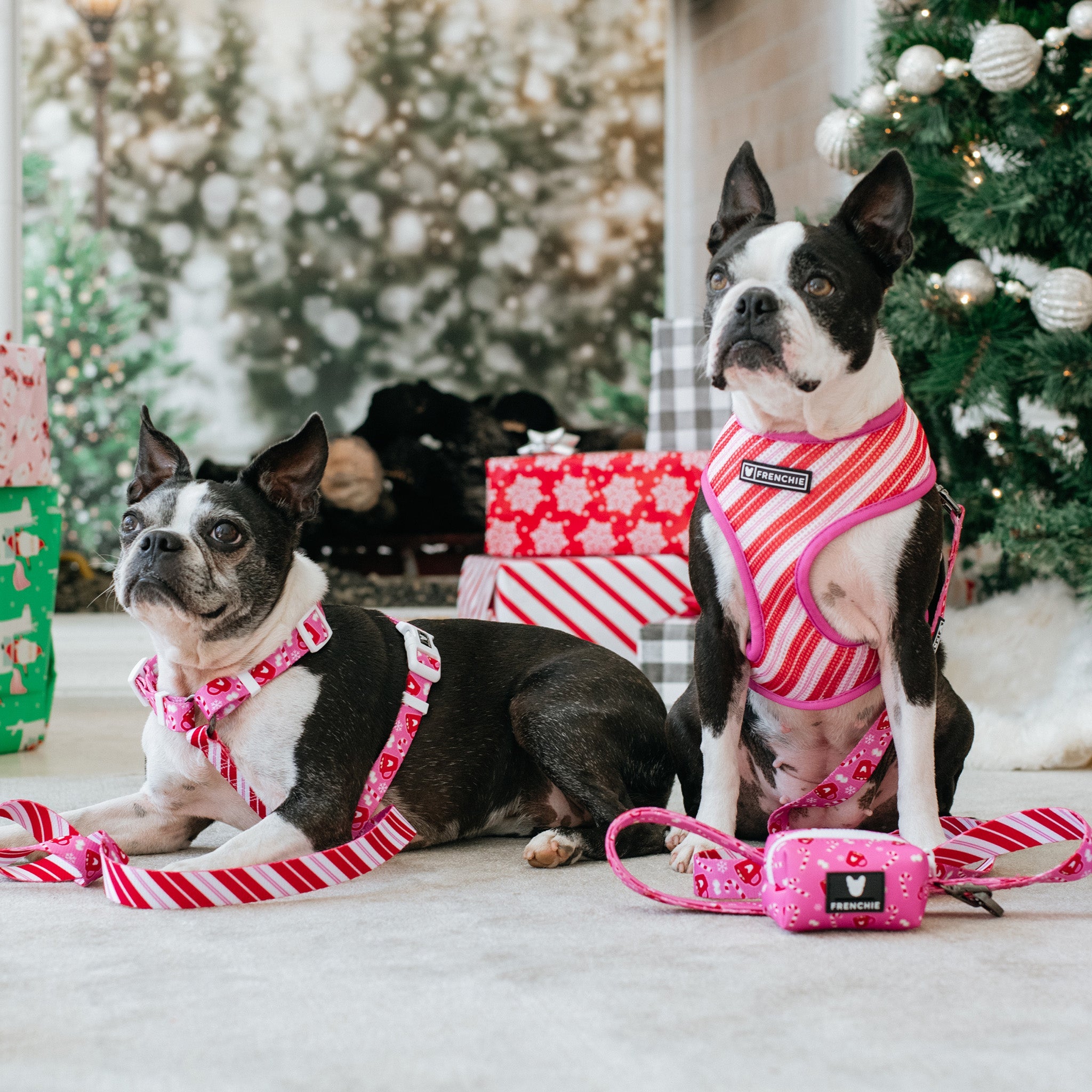 Frenchie Poo Bag Holder - Hot Cocoa (Pink)