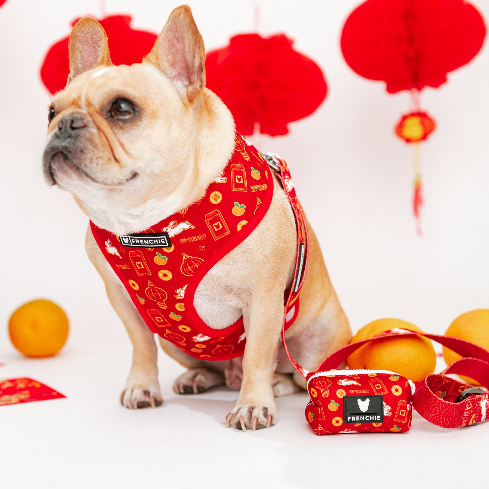 Frenchie Poo Bag Holder - Year of the Rabbit