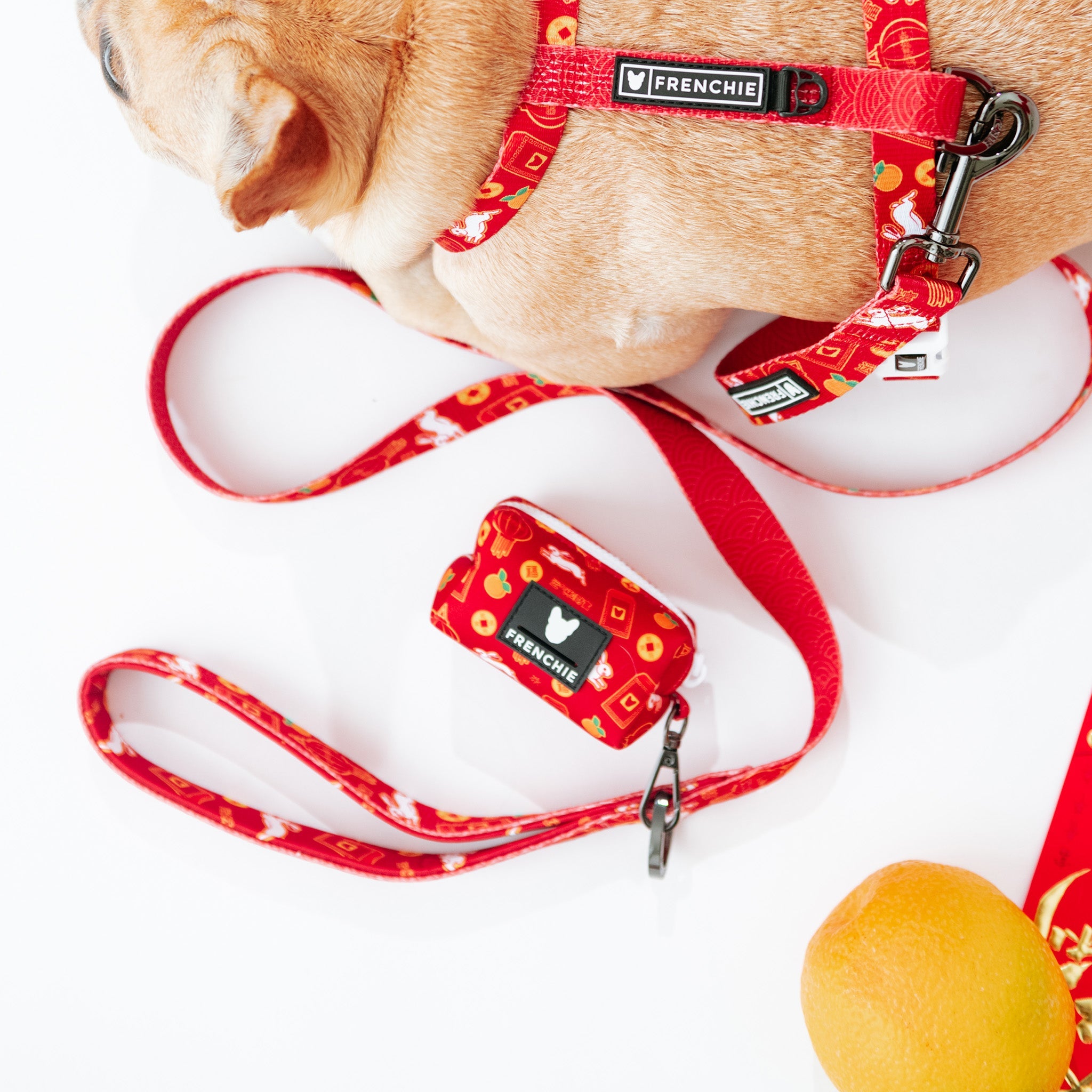 Frenchie Poo Bag Holder - Year of the Rabbit