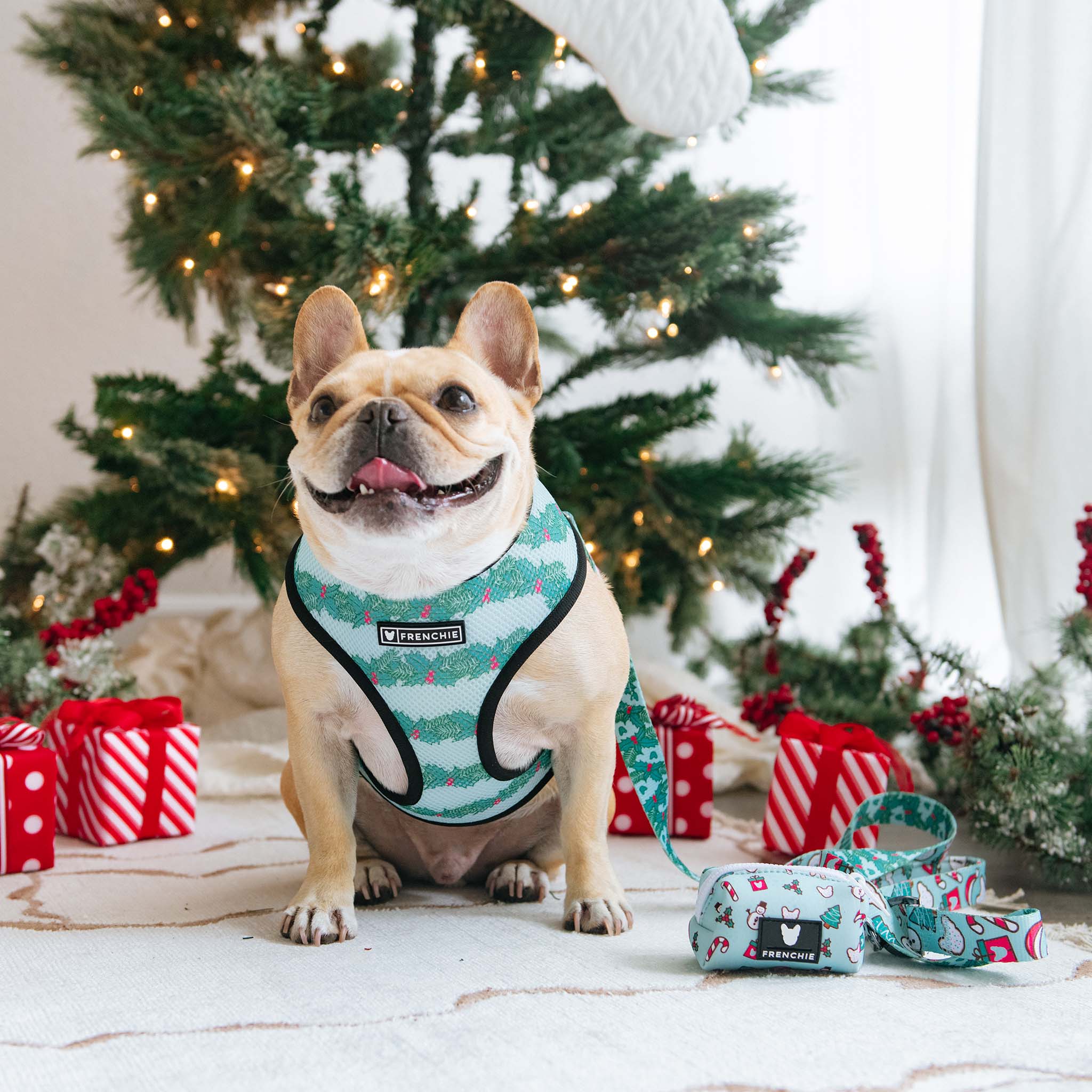 Frenchie Poo Bag Holder - Mistletoe