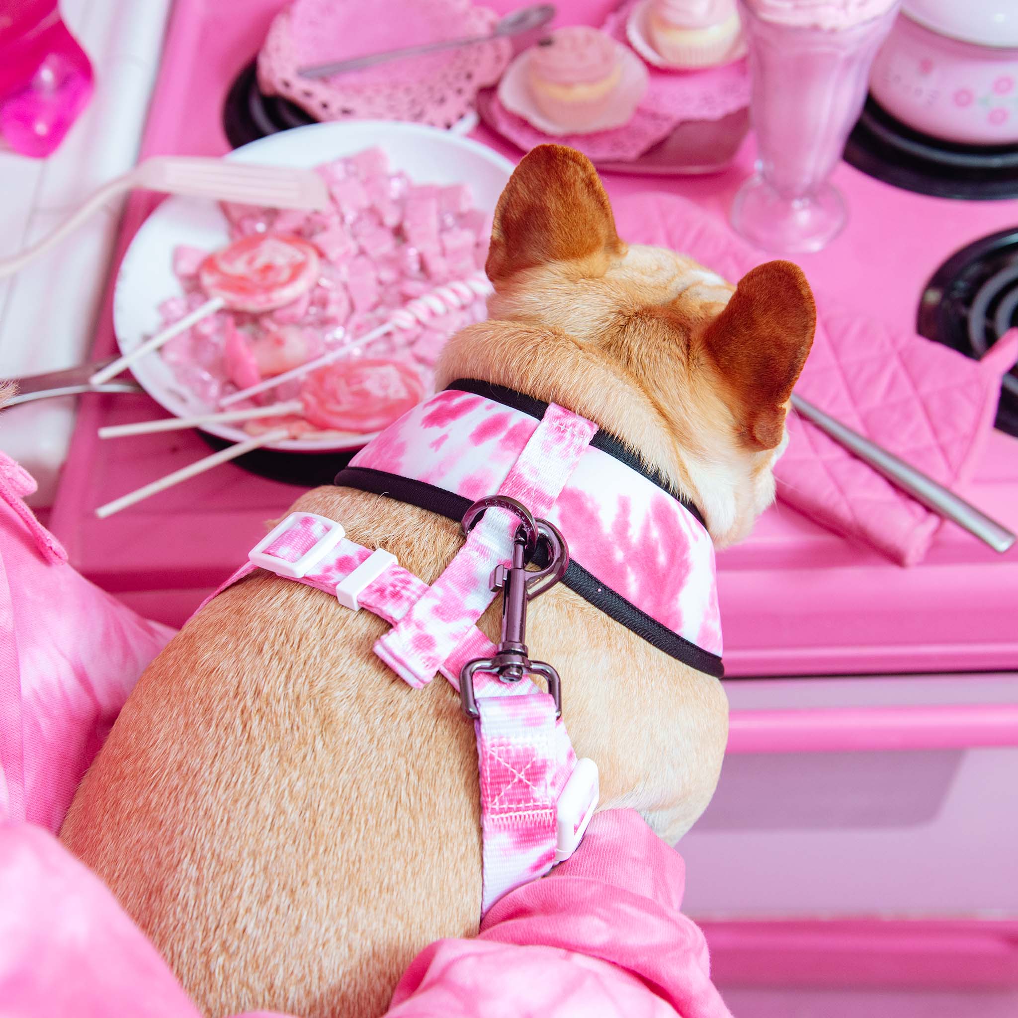 Frenchie Duo Reversible Harness - Pink Tie Dye - HT Animal Supply