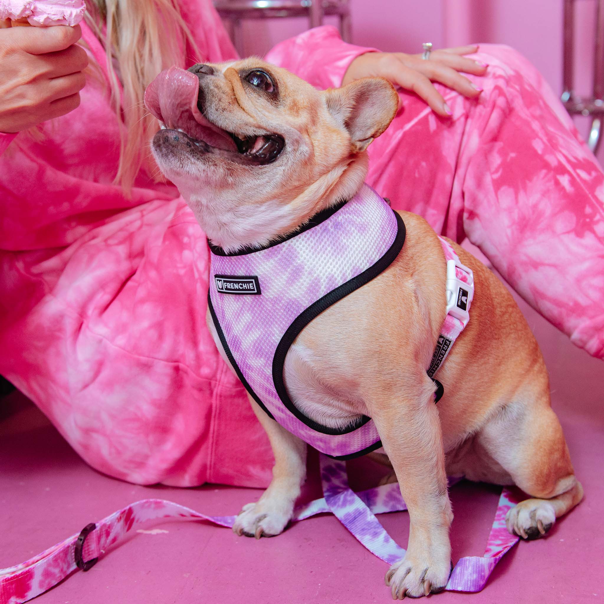 Frenchie Duo Reversible Harness - Pink Tie Dye - HT Animal Supply