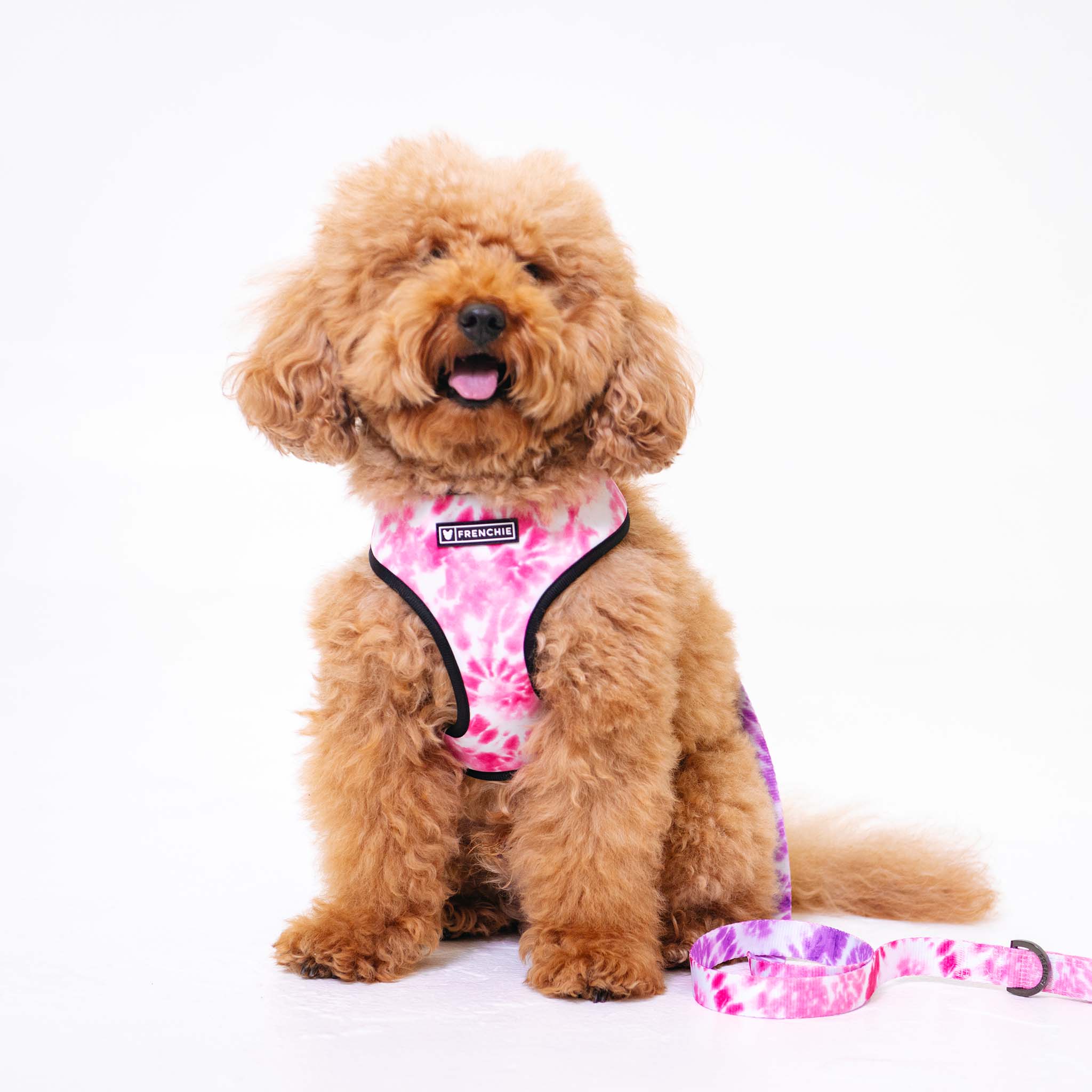 Frenchie Duo Reversible Harness - Pink Tie Dye - HT Animal Supply