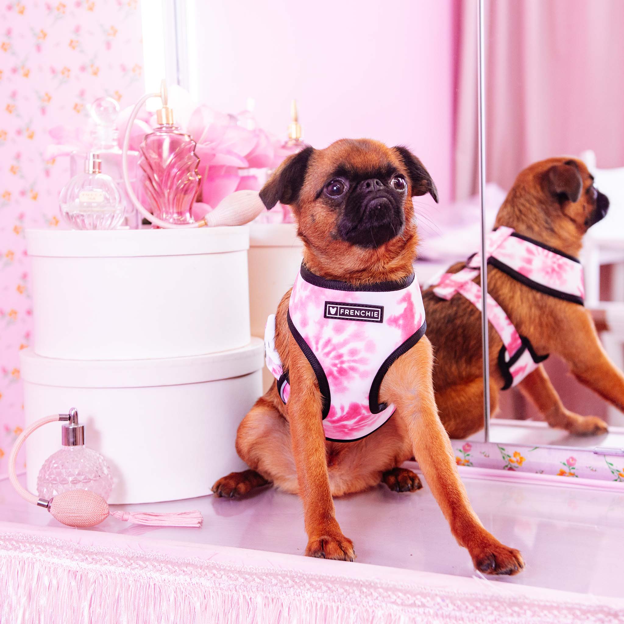 Frenchie Duo Reversible Harness - Pink Tie Dye - HT Animal Supply