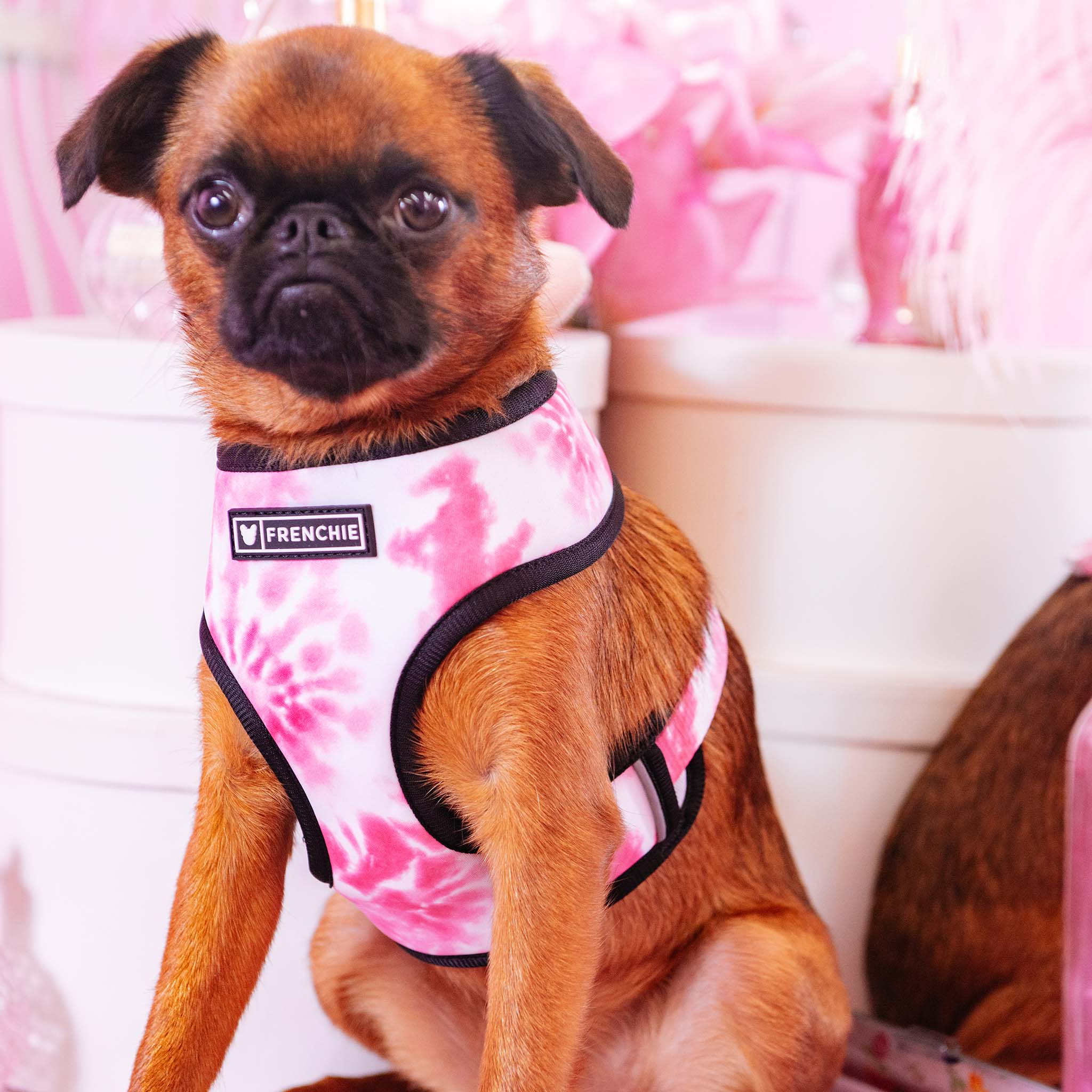 Frenchie Duo Reversible Harness - Pink Tie Dye - HT Animal Supply